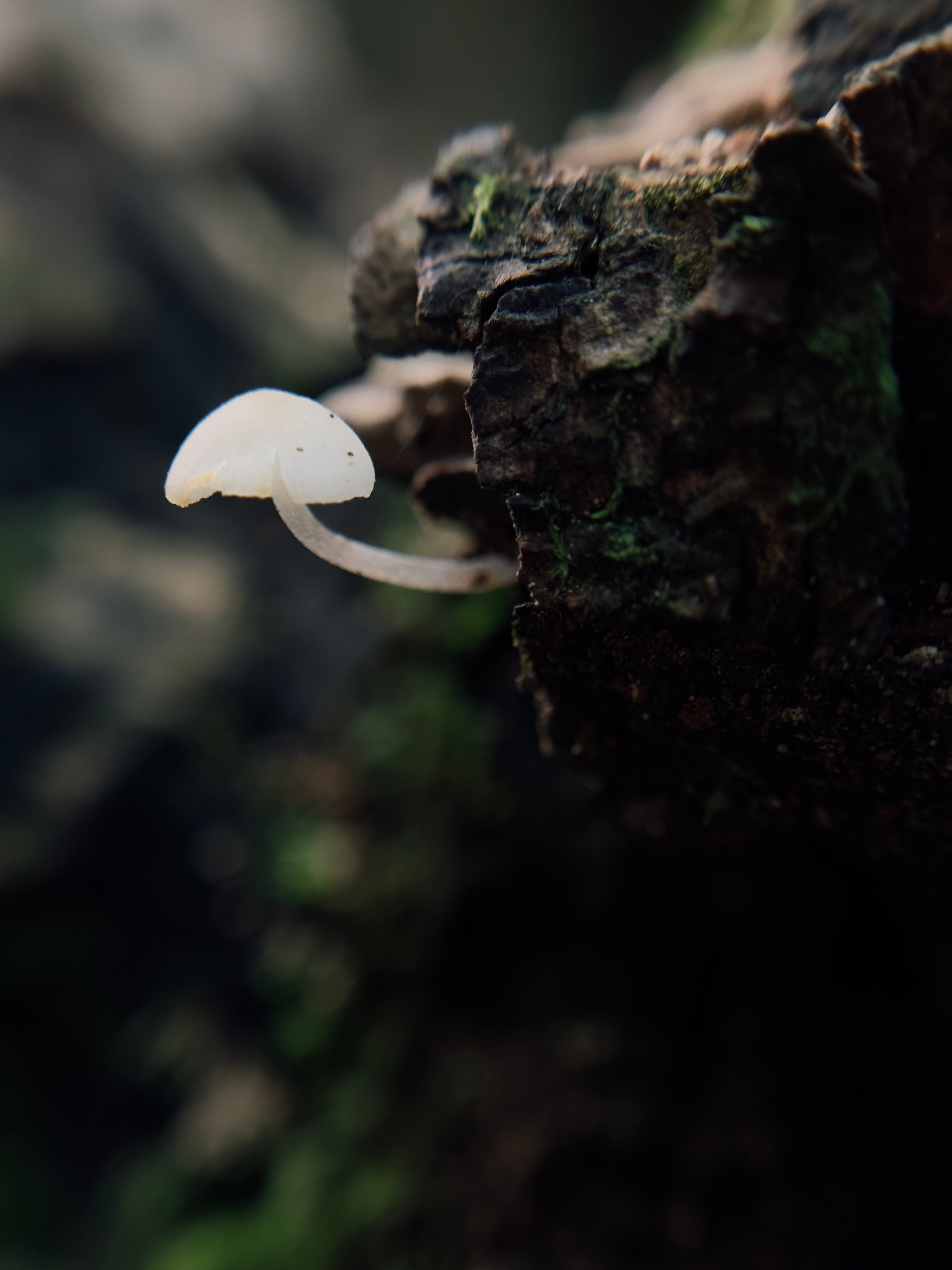 Макро любовь. Смотри, красота!