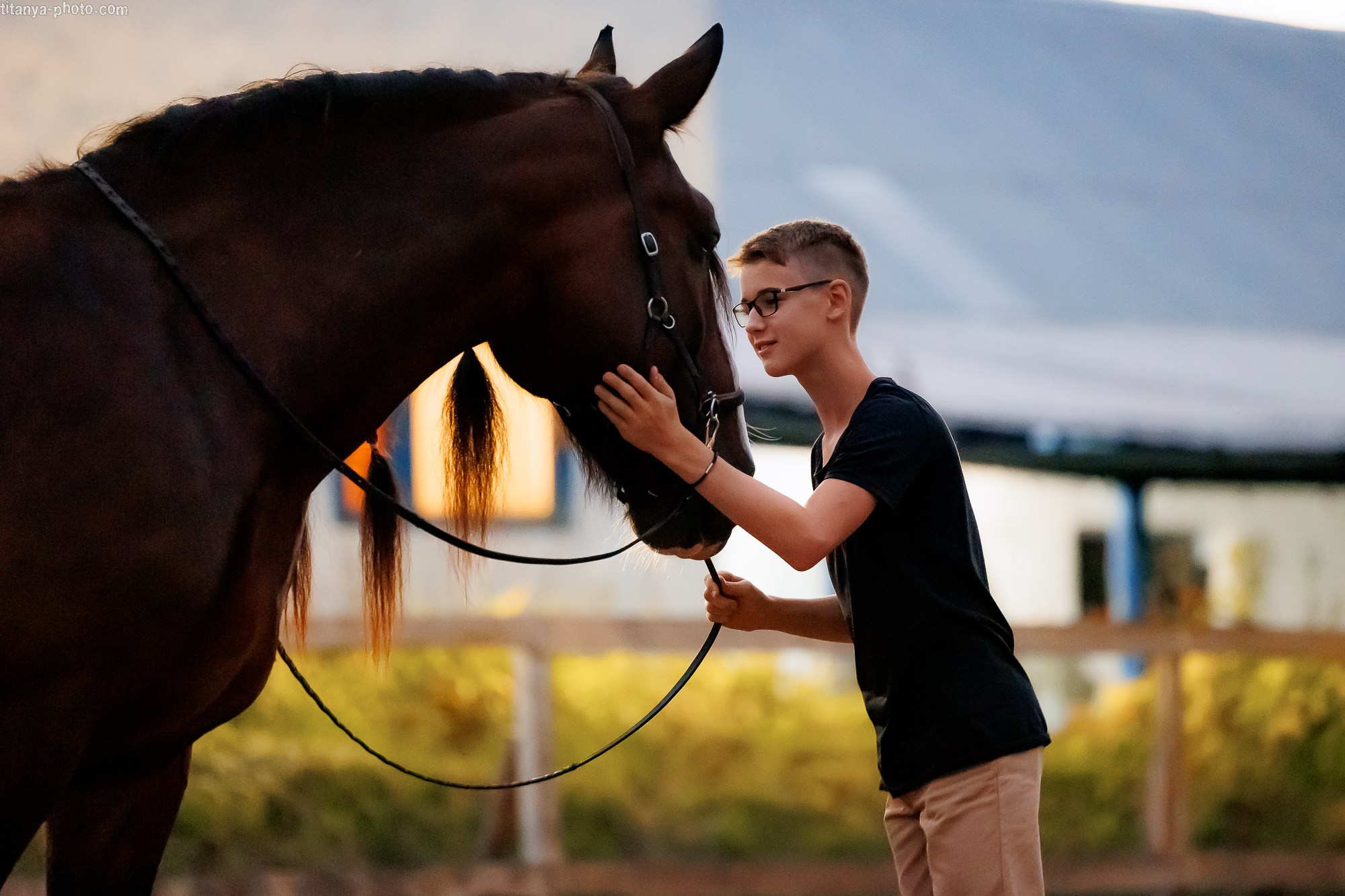 Закатная семейная фотосессия: про Настю и её дружную семью. Фотограф собак, фотограф-анималист Аня Титова (Titanya). Москва