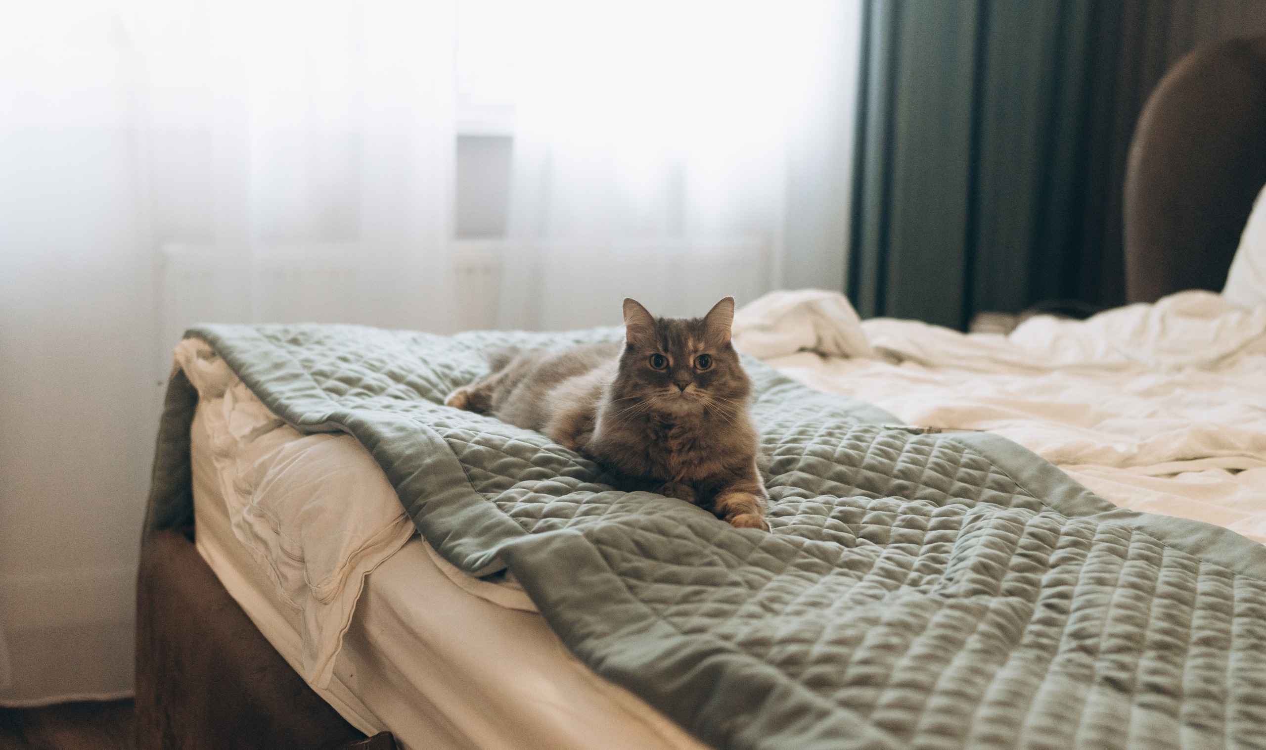 Newborn. Семейный, ньюборн фотограф, фотограф на роды в Москве, Виктория Тюльдюкова