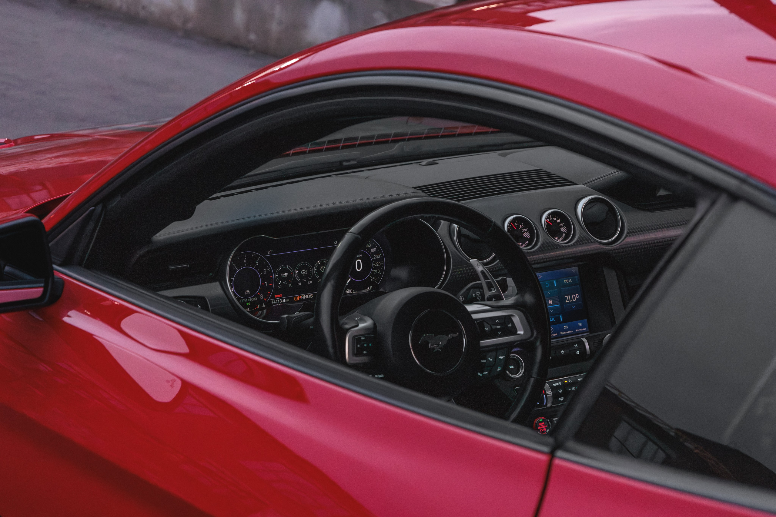 Mustang. Мелехов Дмитрий|Фотограф|Видеограф