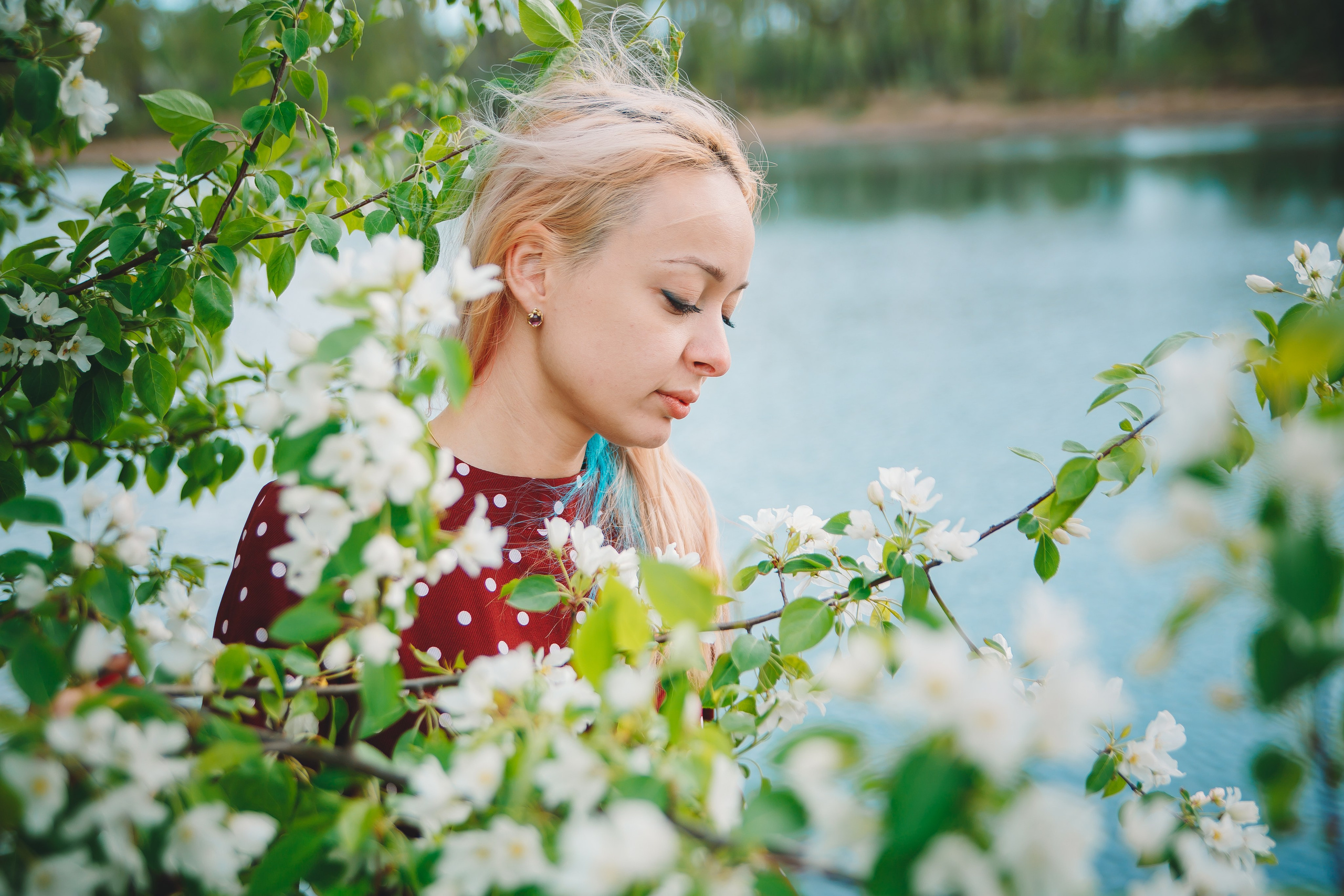 Яблони. Фотограф в Абакане Николай Окунев