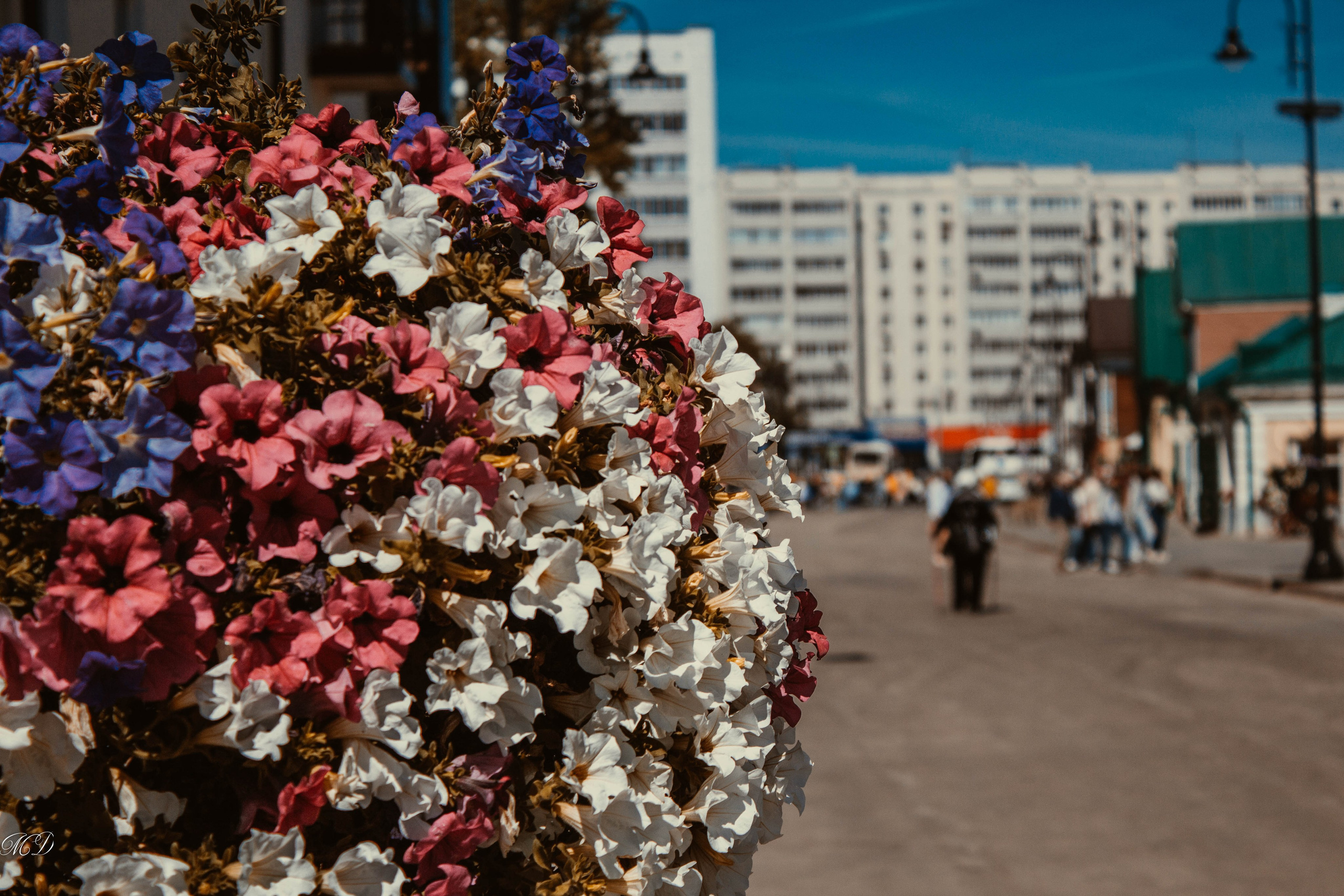 Казань. Михаил Дёгтев - фотограф
