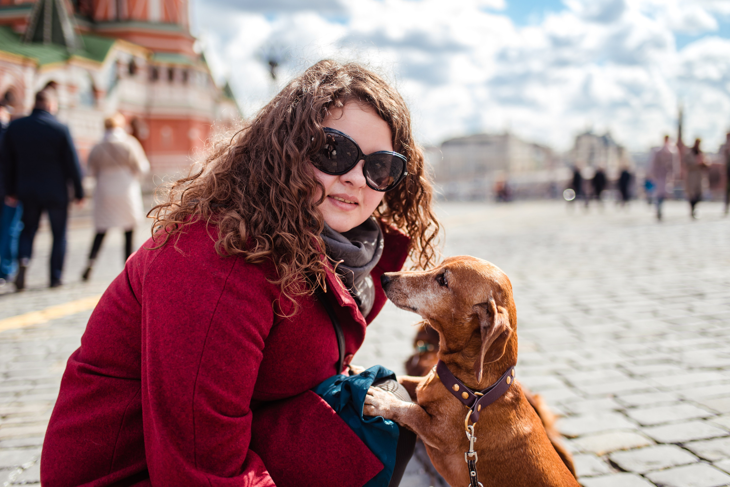 Таксы на Красной площади. Семейный Фотограф в Москве Ирина Хохлова