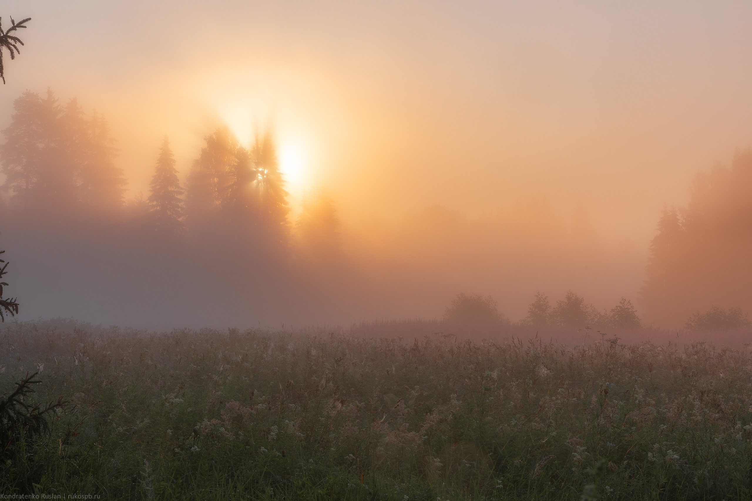Ленинградская область. Архитектурный и пейзажный фотограф Кондратенко Руслан, Санкт-Петербург