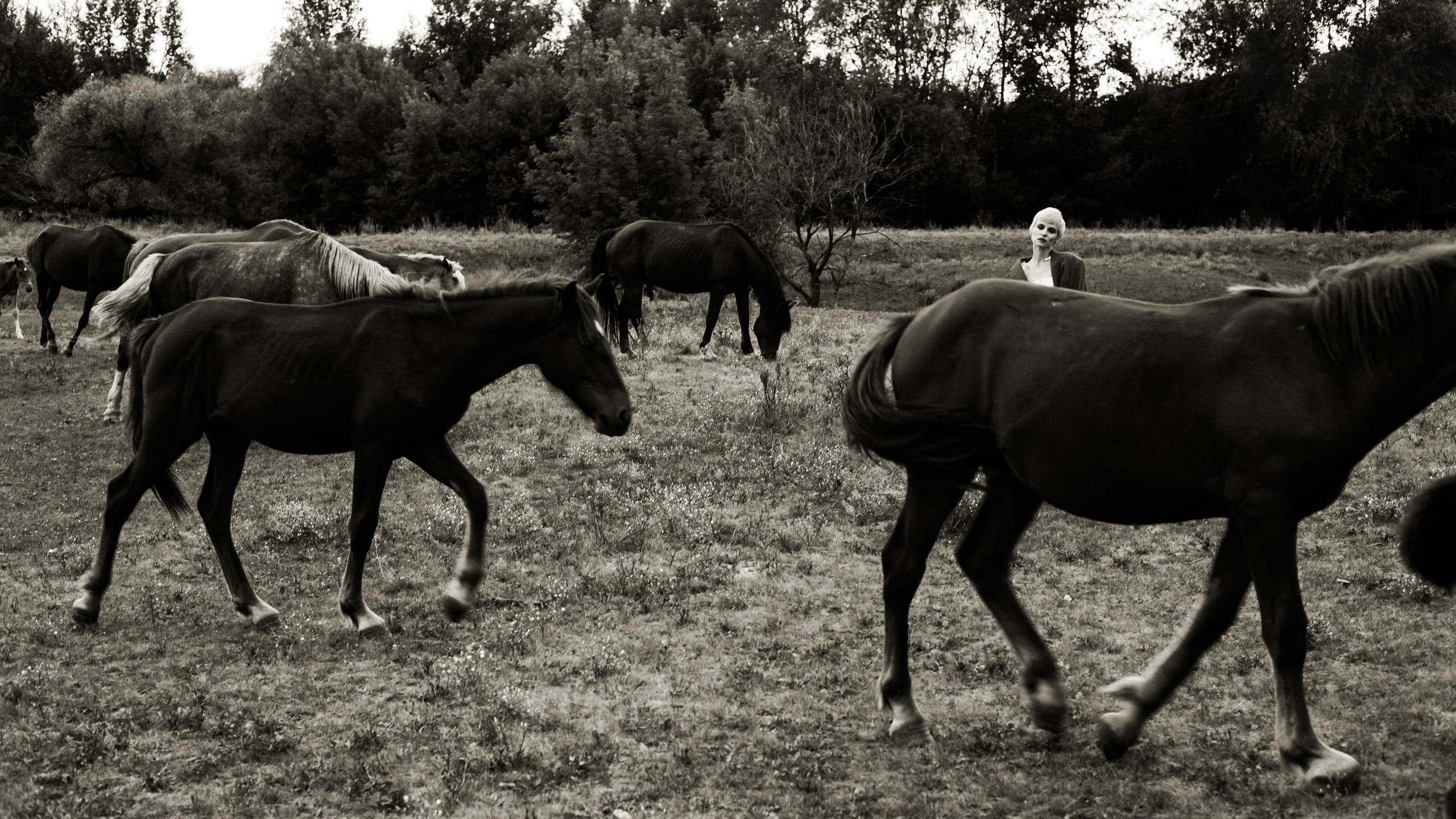 Работы. Индивидуальный фотограф в Оренбурге Кристина Студеникина