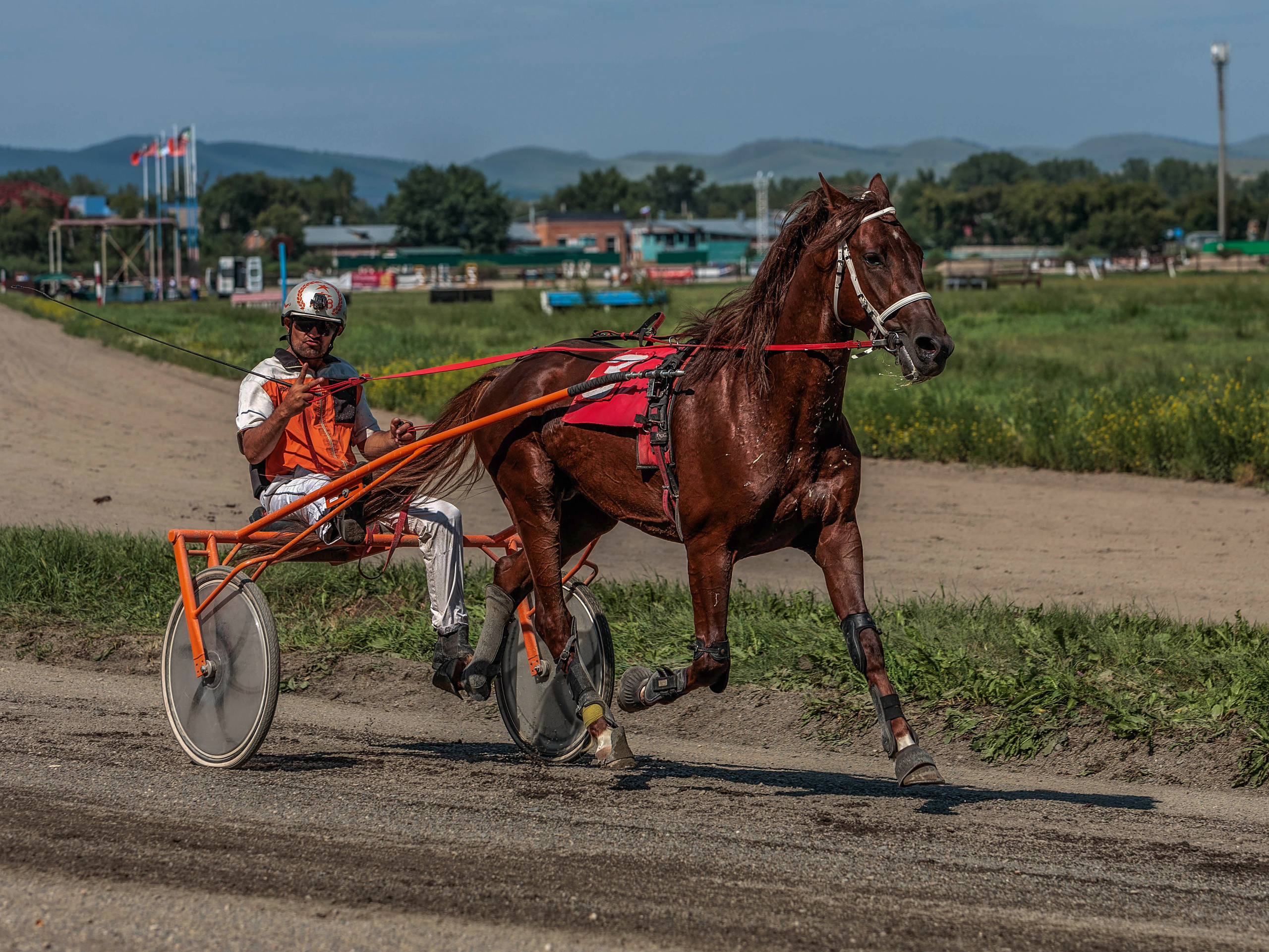 Зарисовки Абаканский ипподром 2025. Конный фотограф в Красноярске — Любовь Похабова