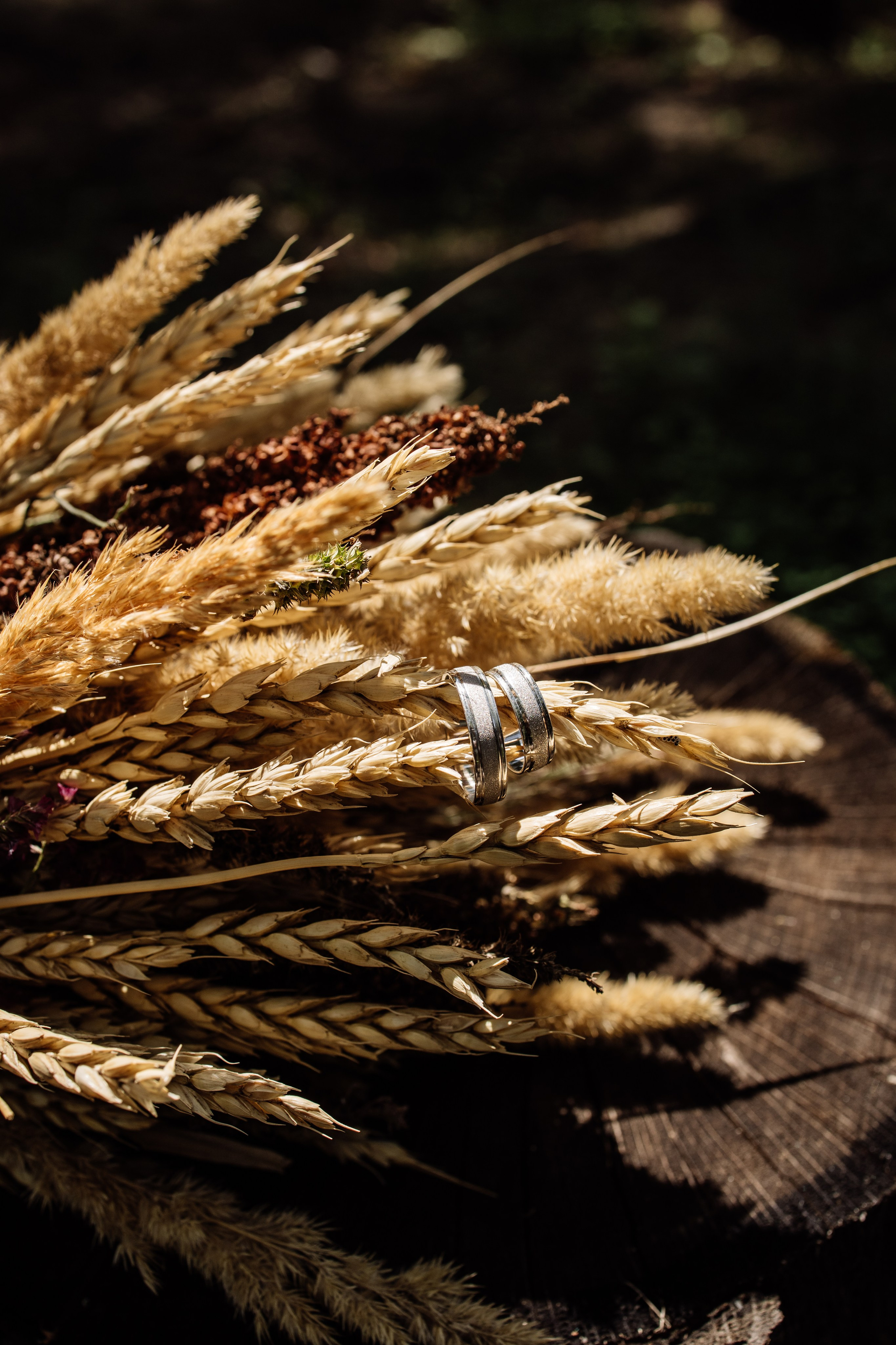 Свадебные серии. Photograph Svetlana Volkova