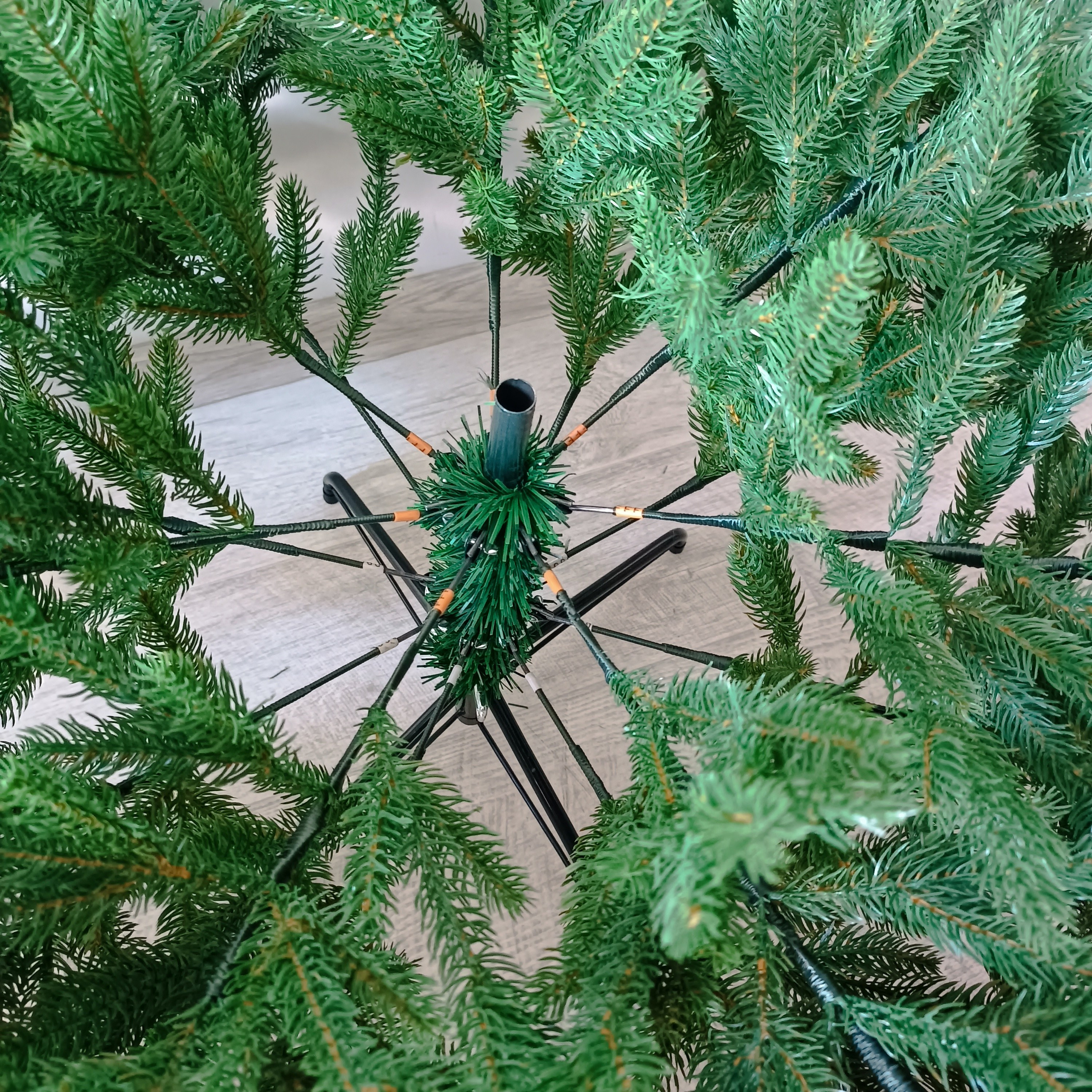 СКАНДИ. Elki_grodno