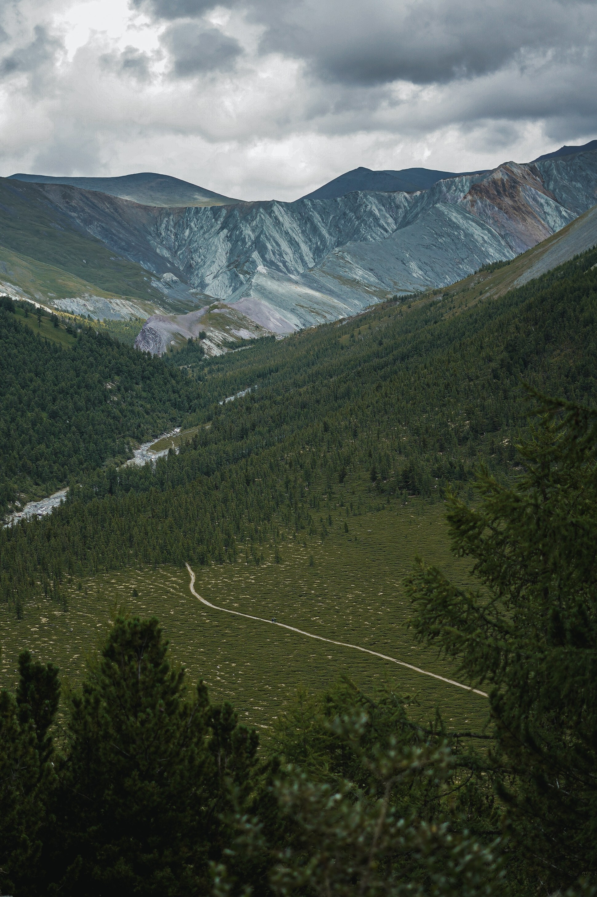 Алтай, поход к Белухе 2023. Фотограф Ольга Пучкова