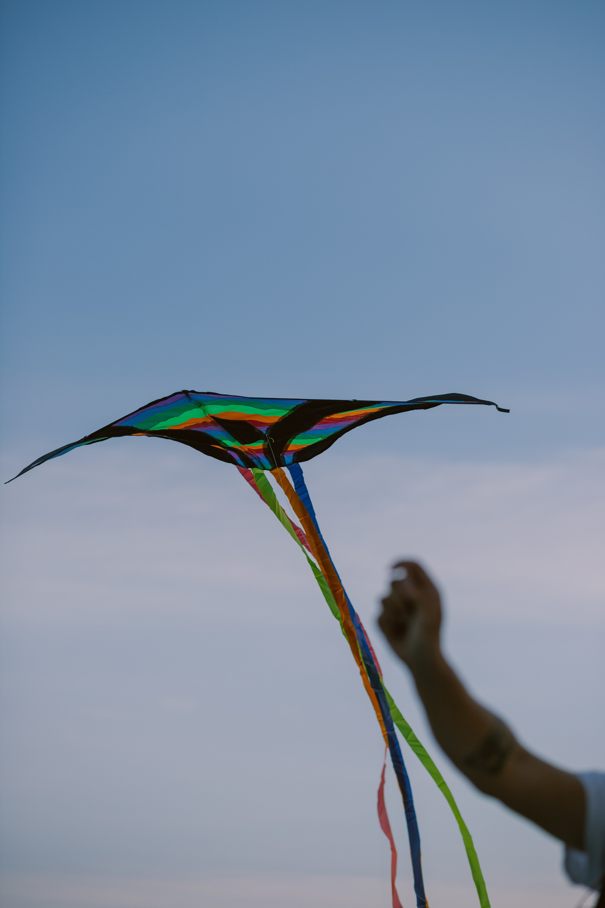 Сила Ветра Строгино. Фотограф Москва и Санкт-Петербург