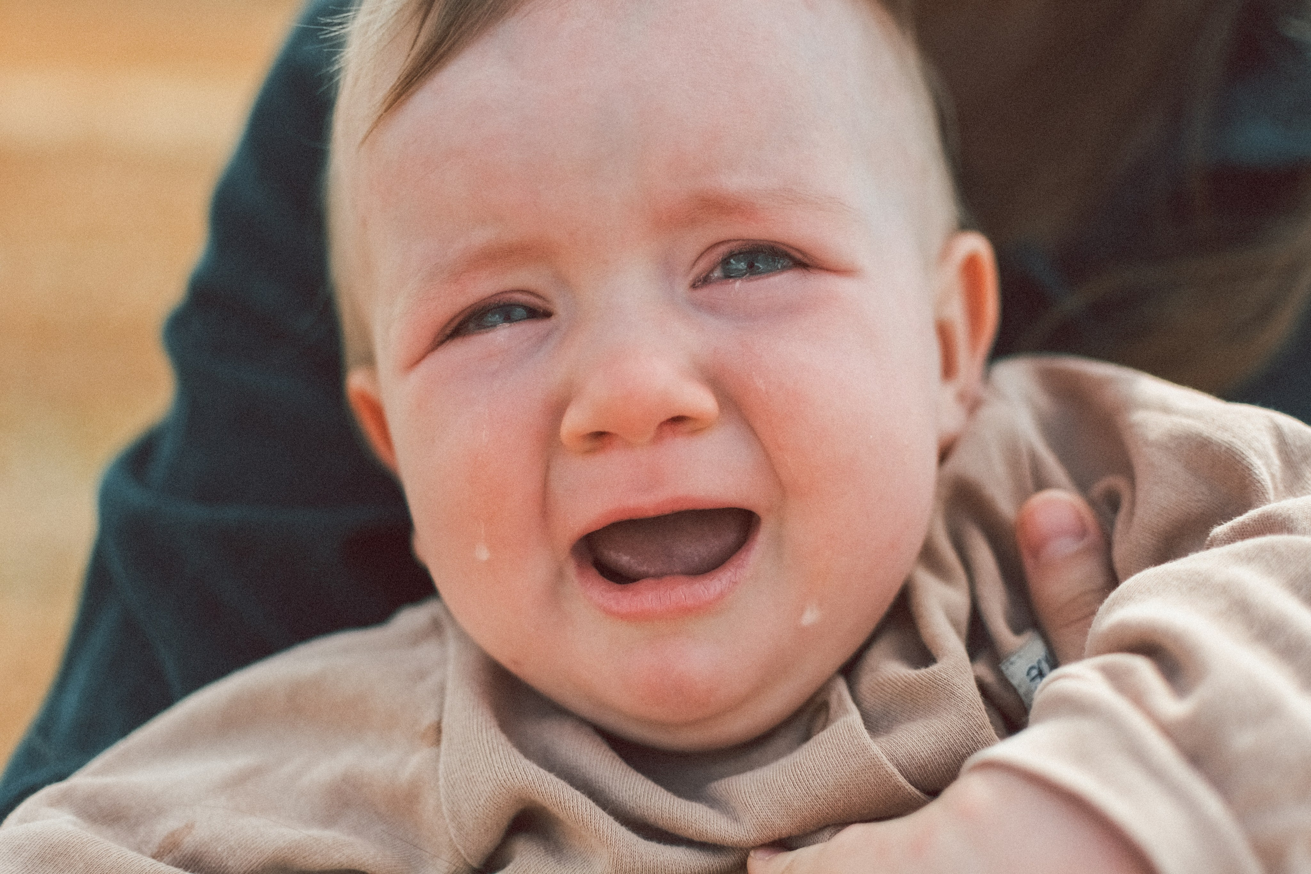 Сёстры в поле и малышка дочь. Alenasokolowa.ru