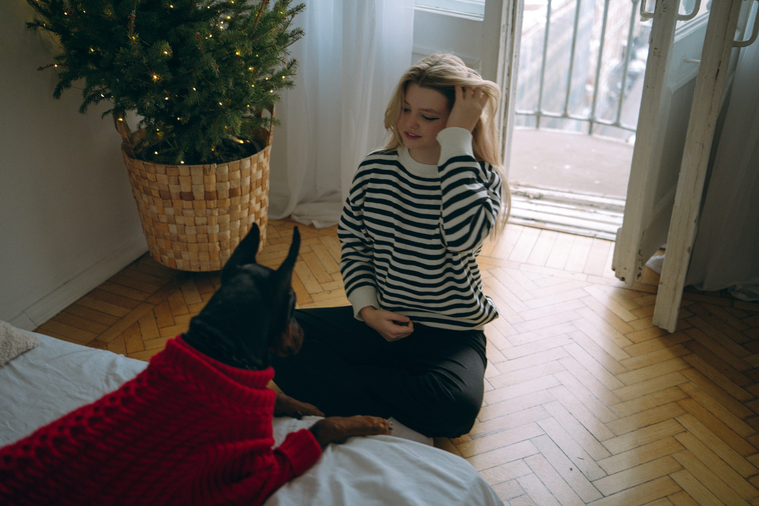 Саша и Асти. Фотограф анималист в Москве и Санкт-Петербурге Свиридова Анна