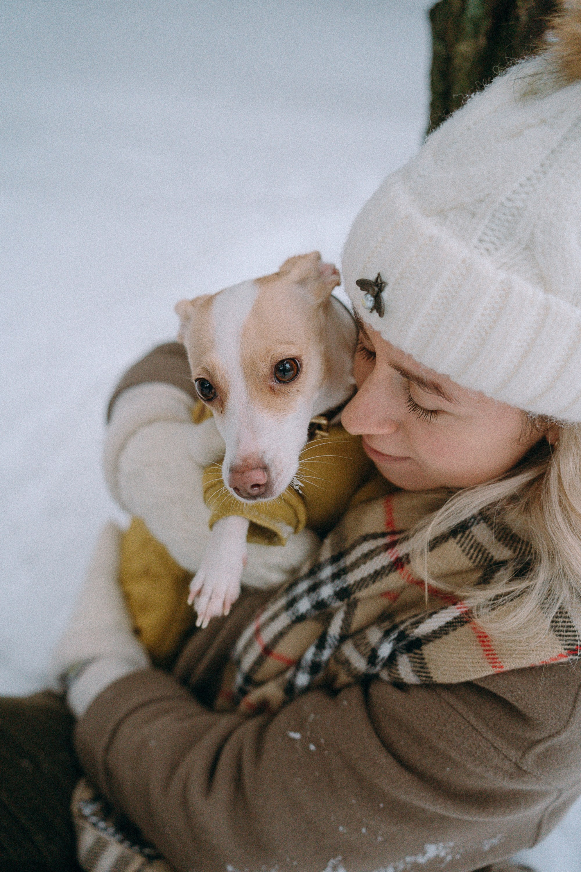 Алина, Ваниль и Элис. Фотограф анималист в Москве и Санкт-Петербурге Свиридова Анна