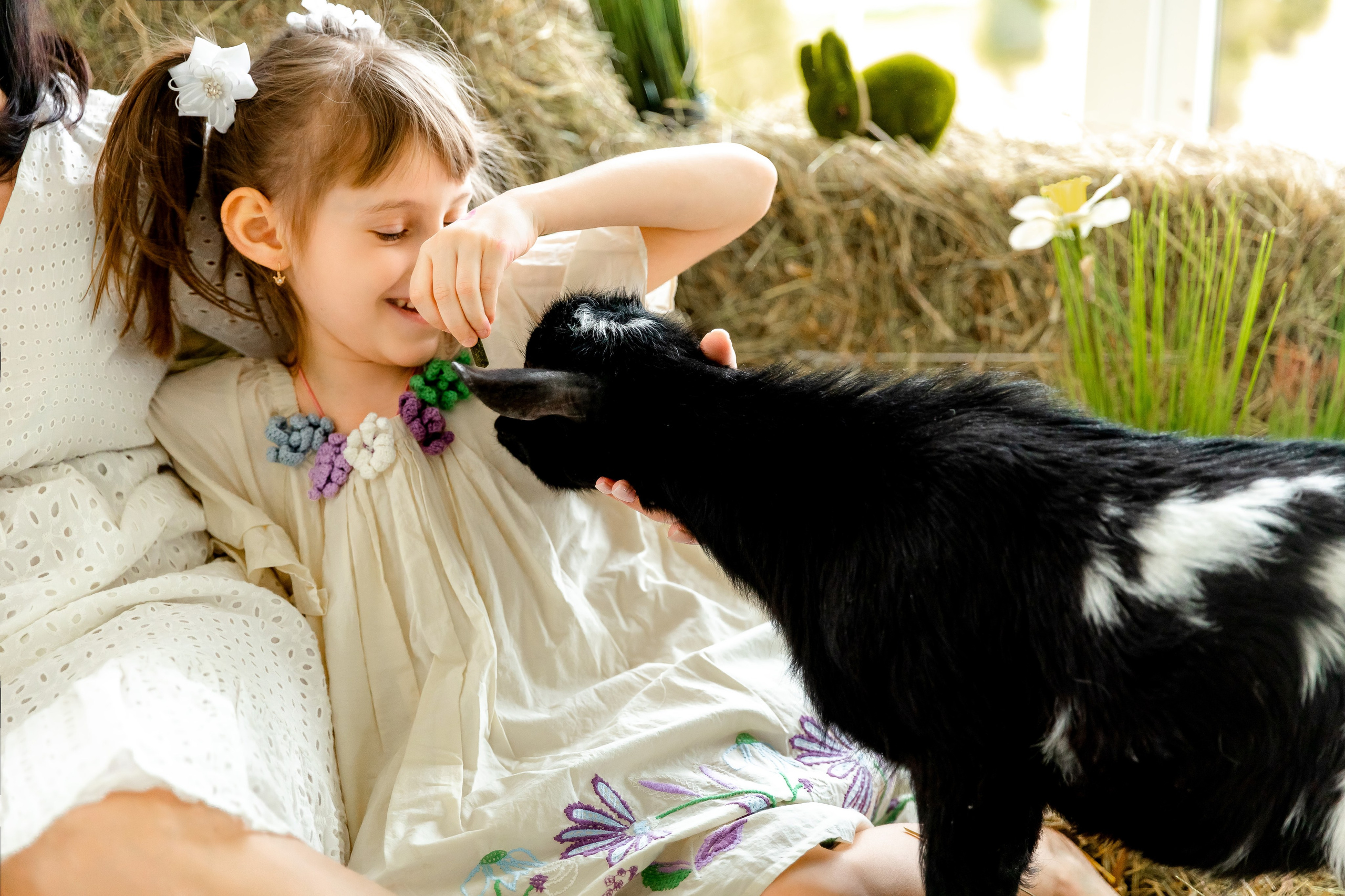 Ольга. Главная