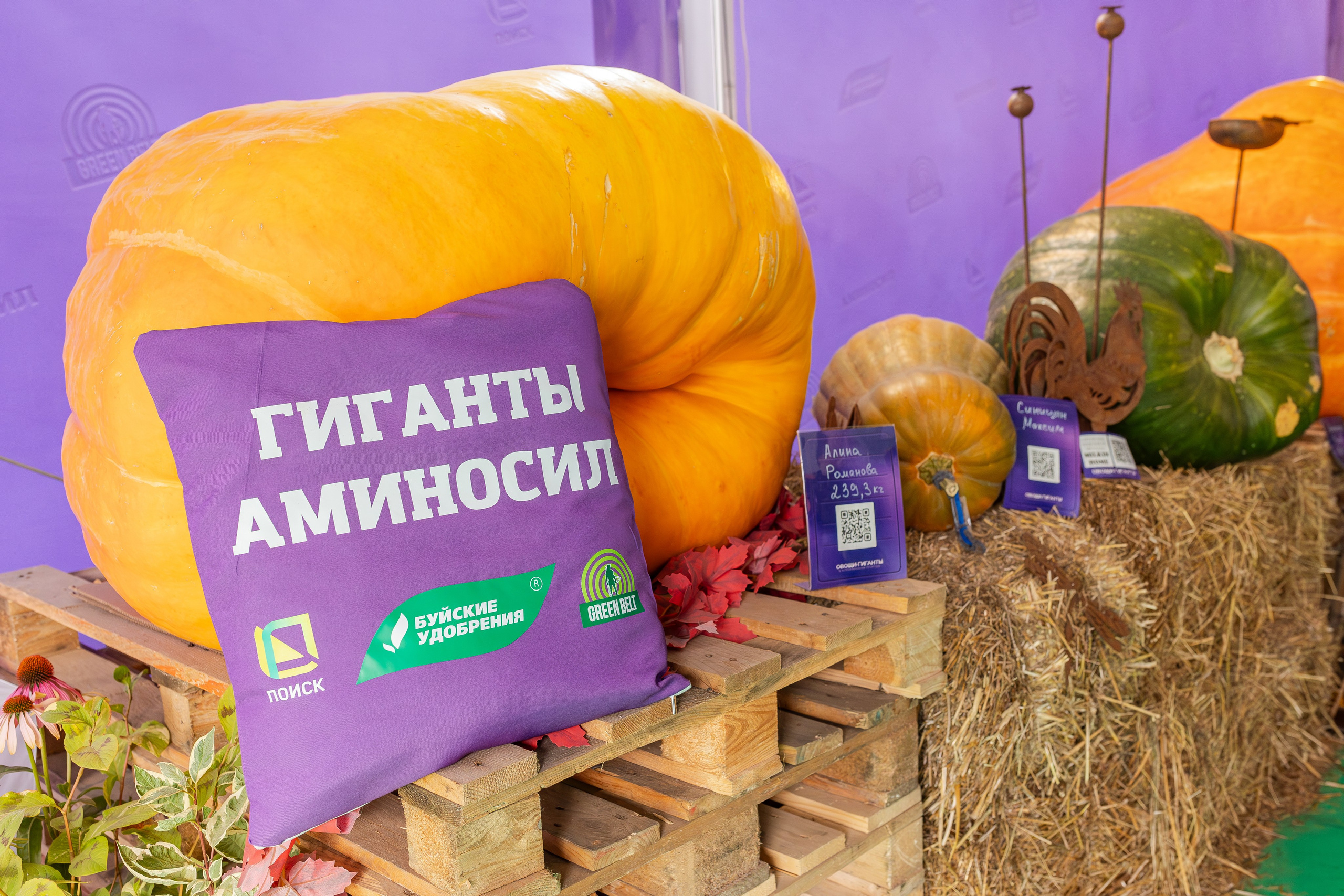 Овощи-гиганты. Александра Куликова фотограф, Москва