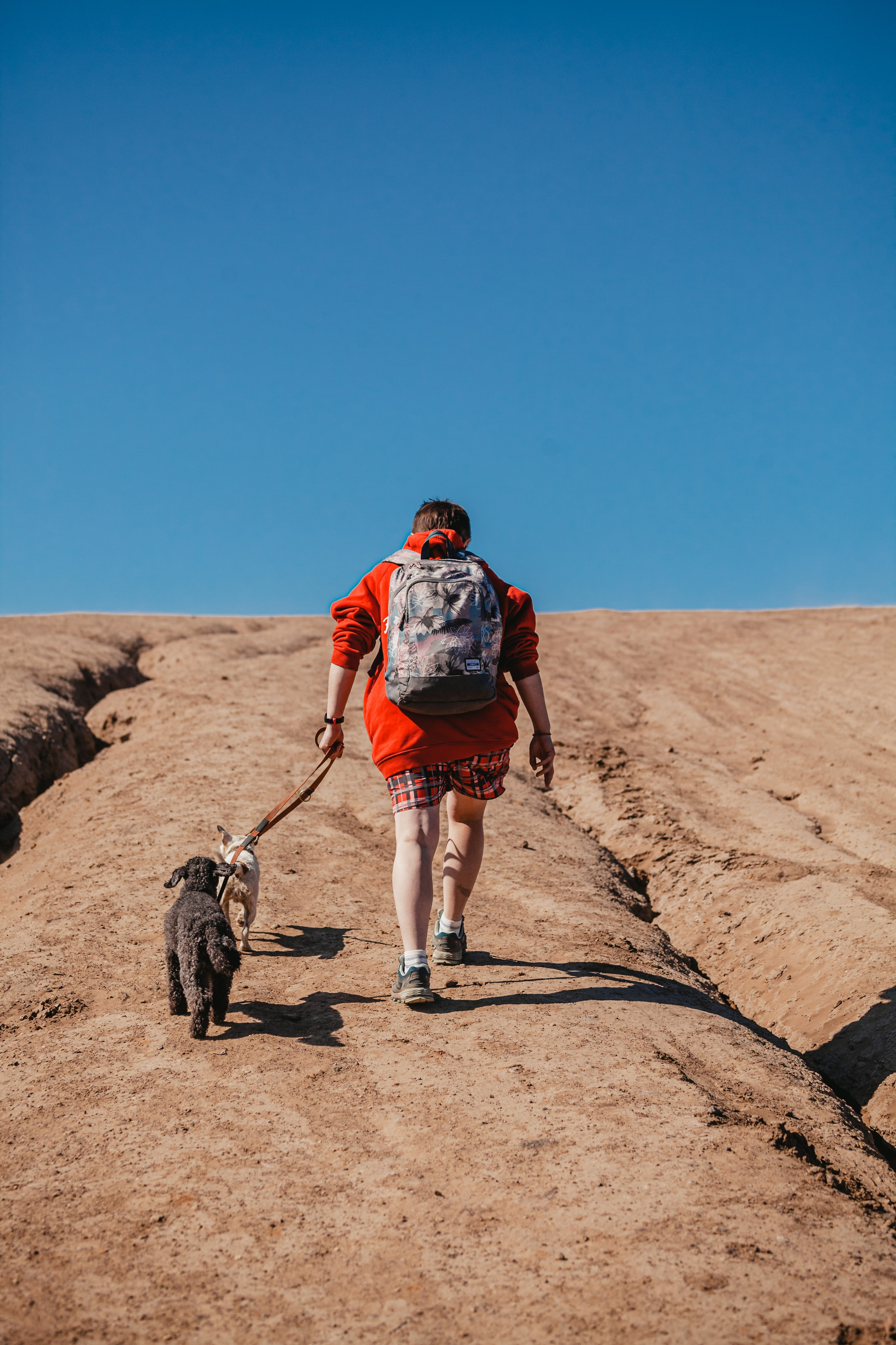 Кондуки. Фотограф-анималист Татьяна Степанова