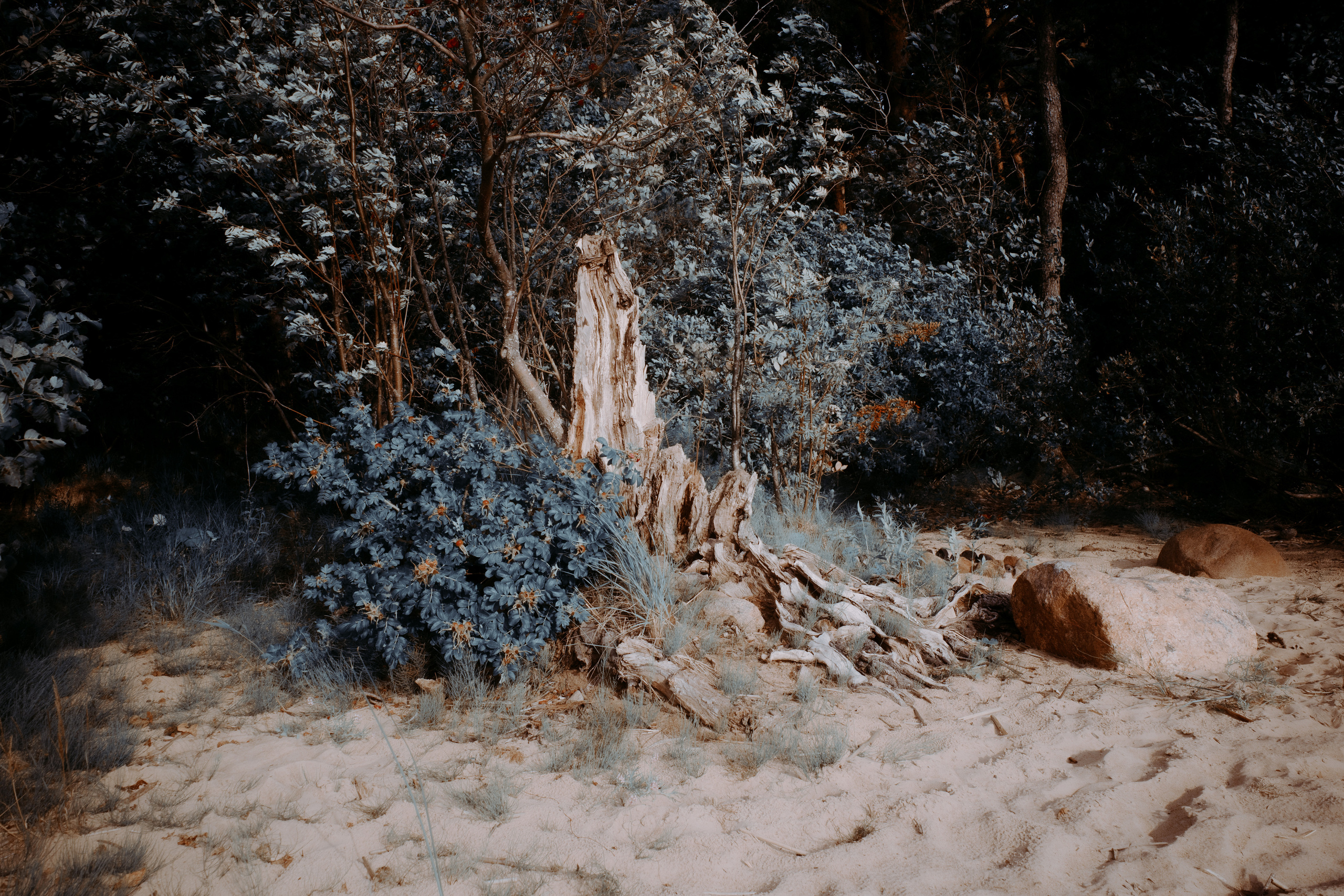 Street & Landscapes. Фотограф в Санкт-Петербурге Александр Терников