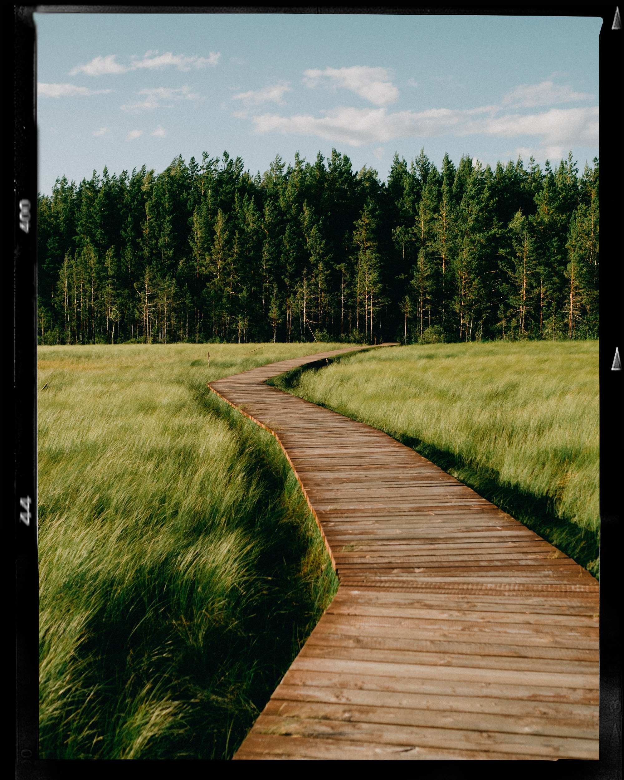 Street & Landscapes. Фотограф в Санкт-Петербурге Александр Терников