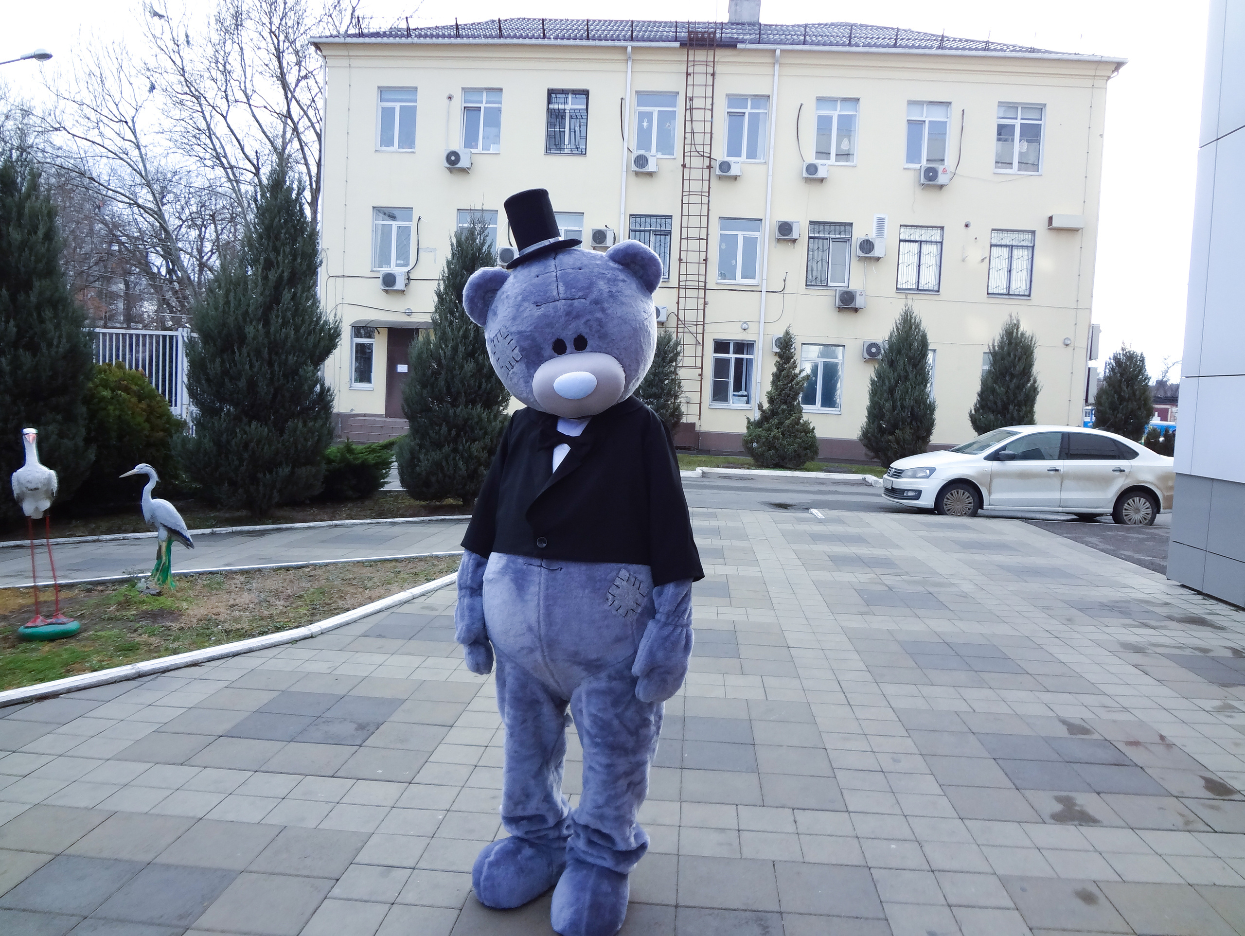 МИШКА ТЕДДИ. Свадебный и семейный фотограф/видеограф в Краснодаре Наталья Осинская