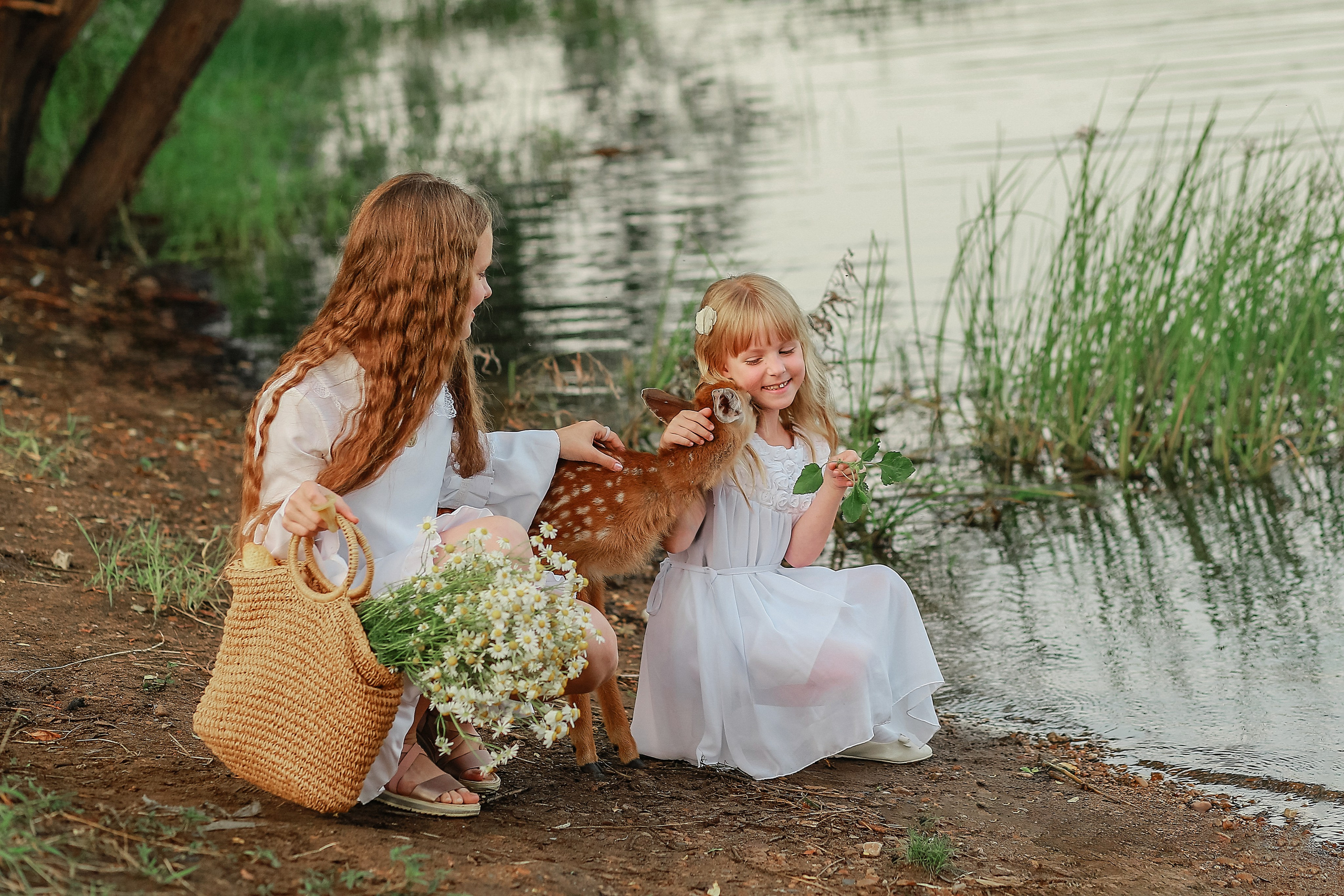 Фотосессия с Бэмби. Иванова Ирина Свадебный и семейный фотограф г. Уфа