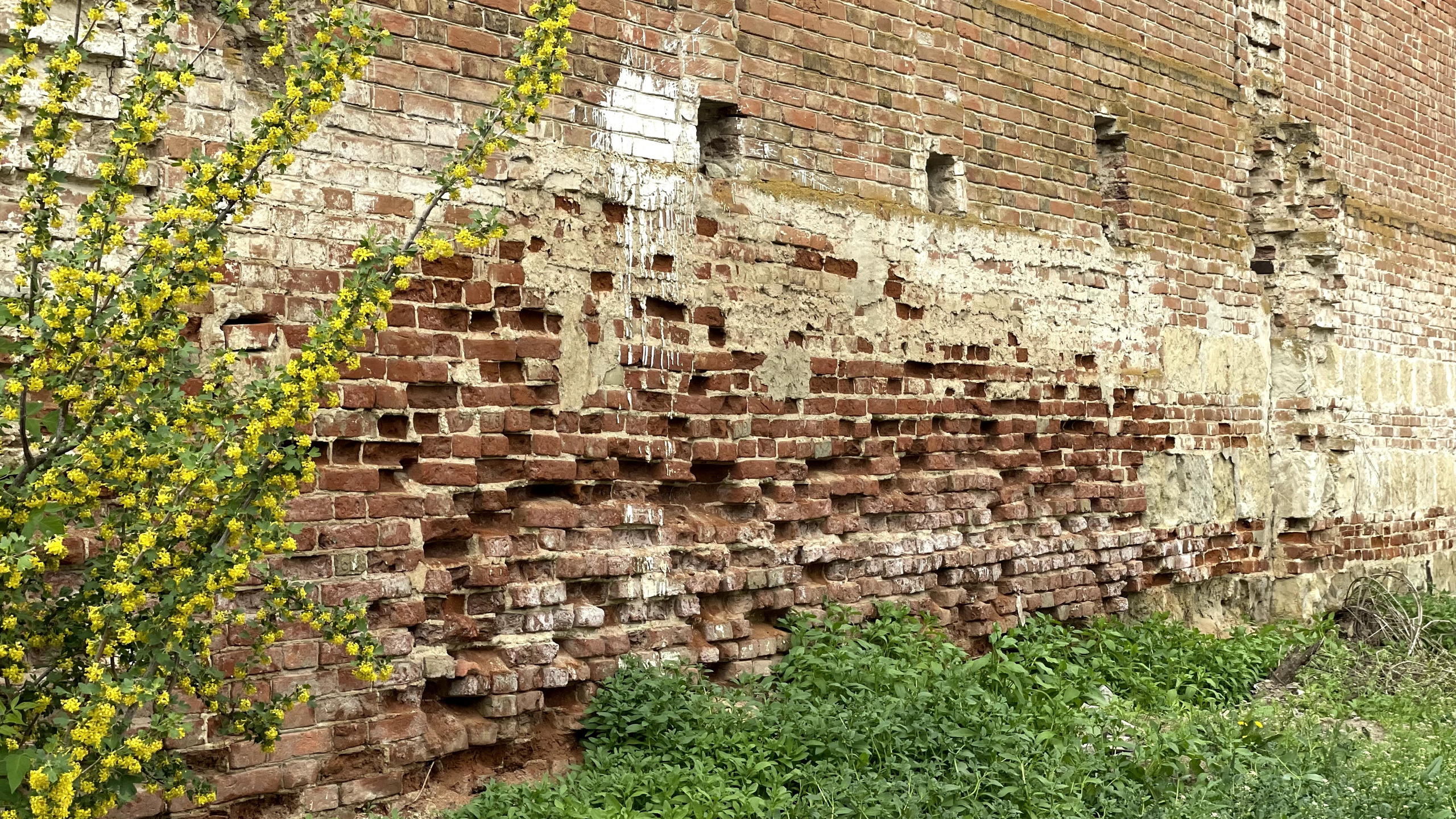 20 079 Кирпичная стена. ВИЗУАЛЬНЫЕ И ЗВУКОВЫЕ РЕШЕНИЯ ДЛЯ БИЗНЕСА И СЪЁМОК ТЕЛЕТЕЛА