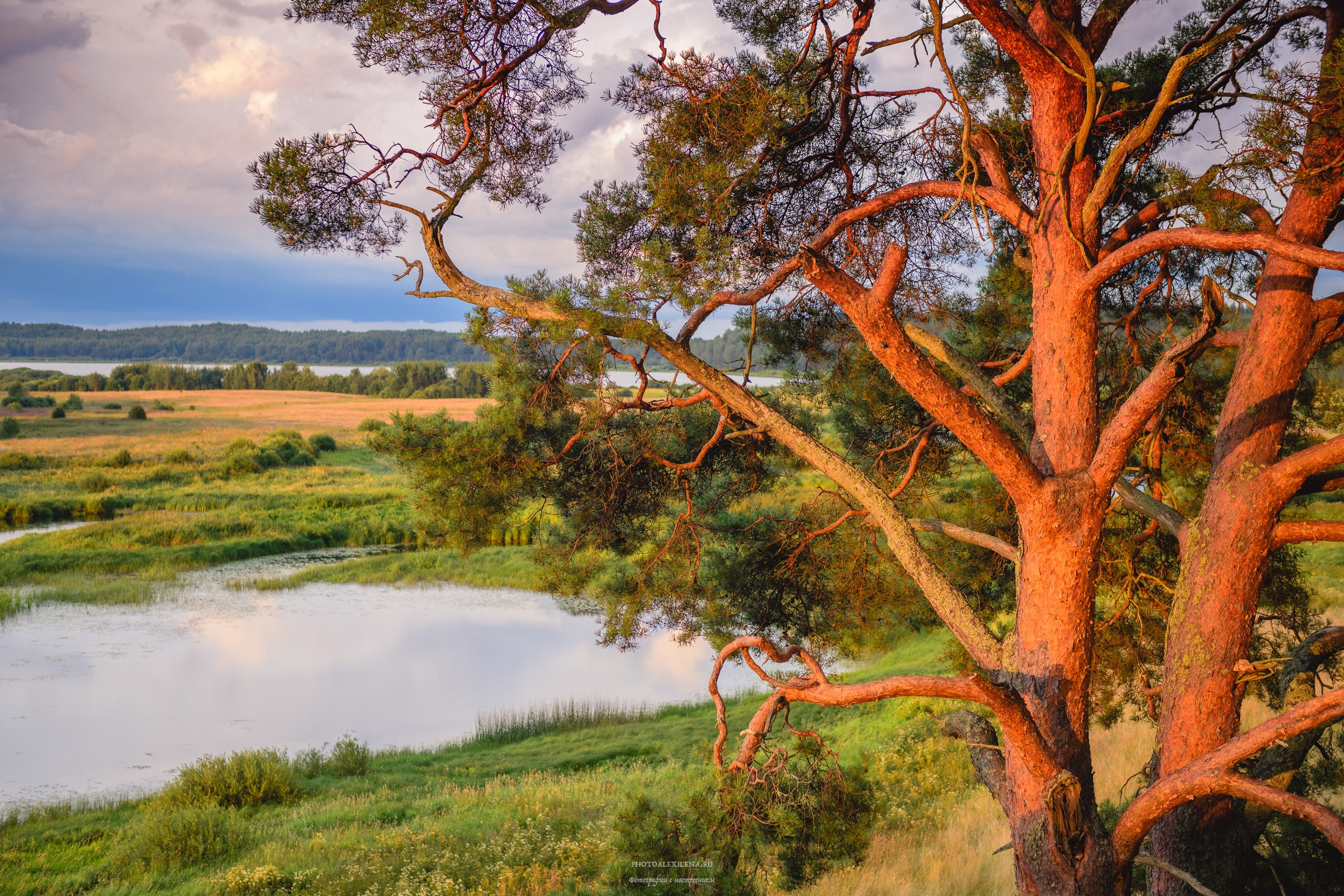 Пейзажная фотография. Авторские стильные фотокартины