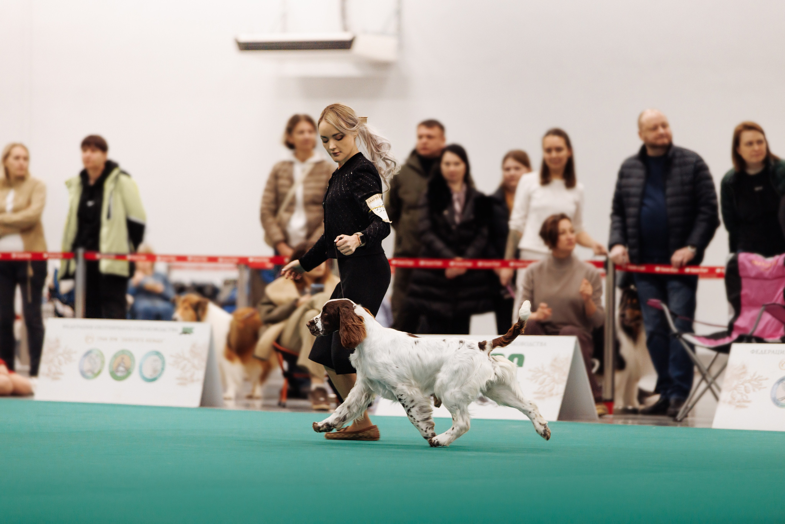 29-30.11.2025 — Казань «Зилант». Фотограф-анималист Саша Вязьмина