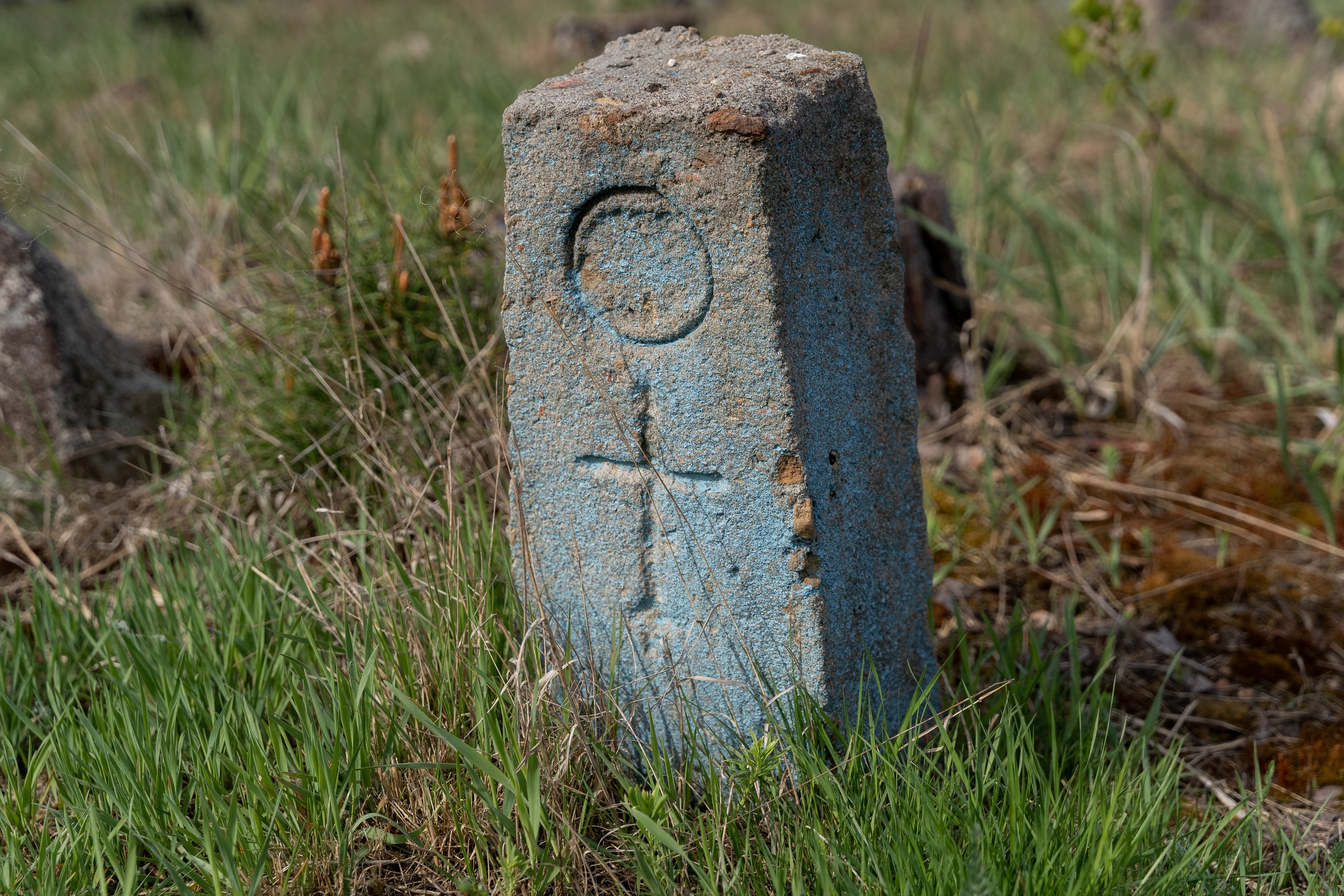Home.land. Künstler Verstecktoff