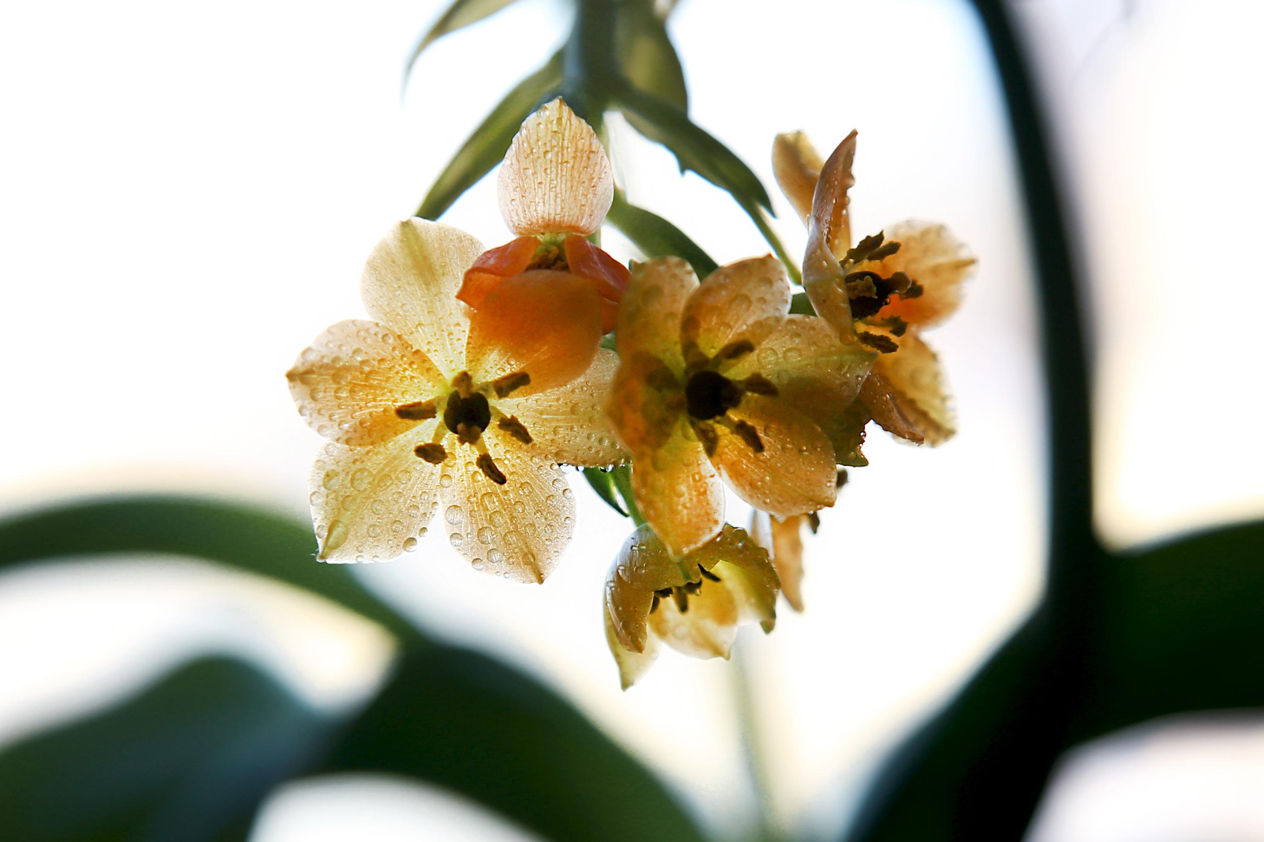 Природа. Фотограф Юля Постнова