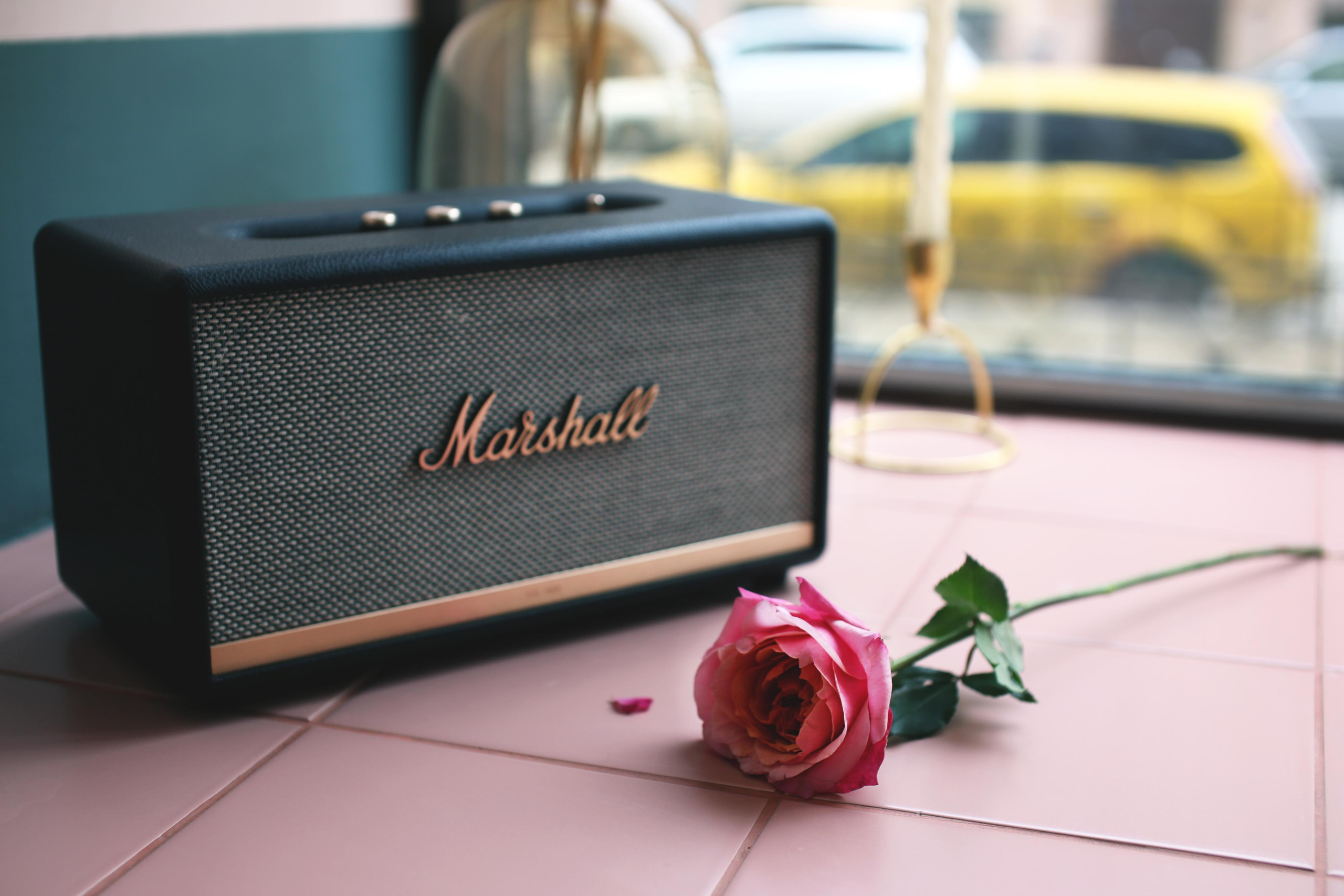 Аня в кофейне Limitless. Фотограф Юля Постнова