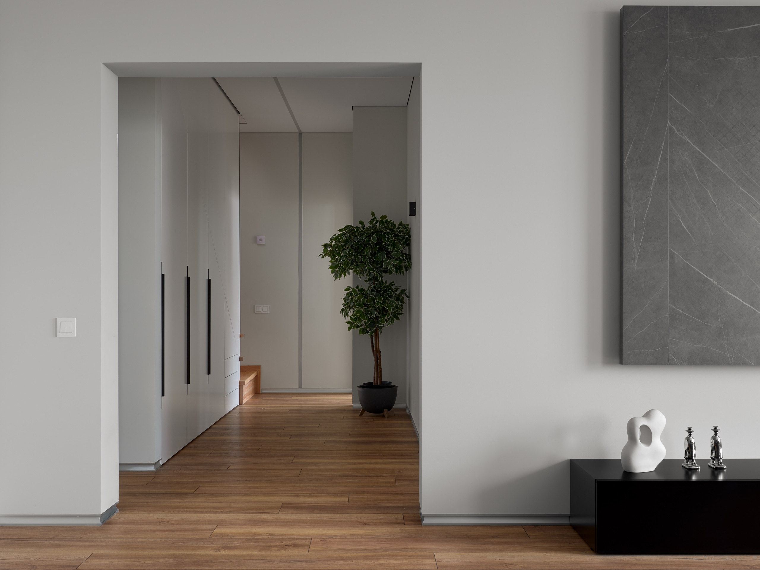 Современный минималистичный интерьер коридора с белыми встроенными шкафами, деревянным полом и зелёным растением в кашпо. Дизайн разработан Андреем Неленем и Екатериной Проскуряковой, стилистика от Алины Нелень, фото Сергея Денисенко.