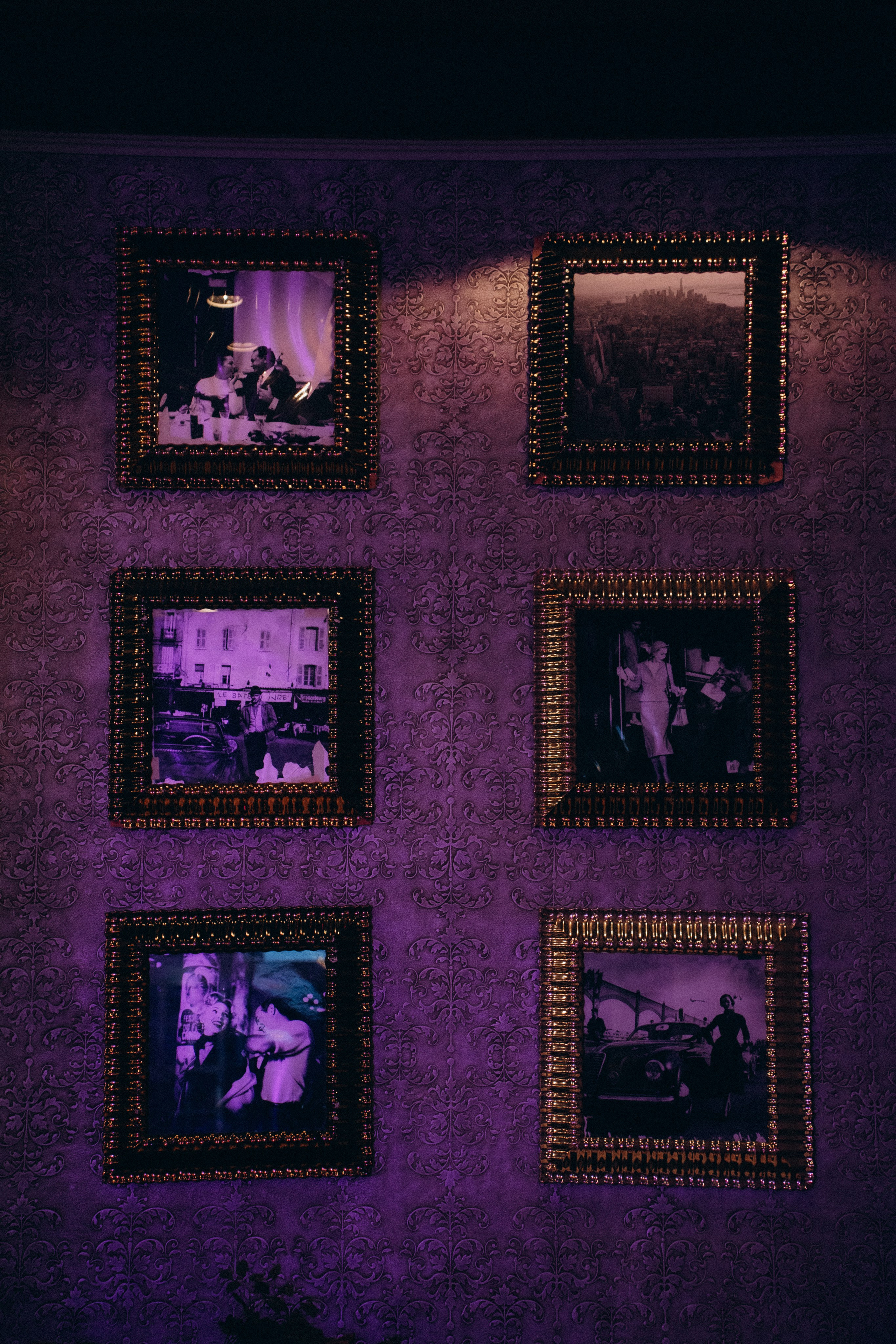 Roya. Фотограф Москва Селюкова Юлия