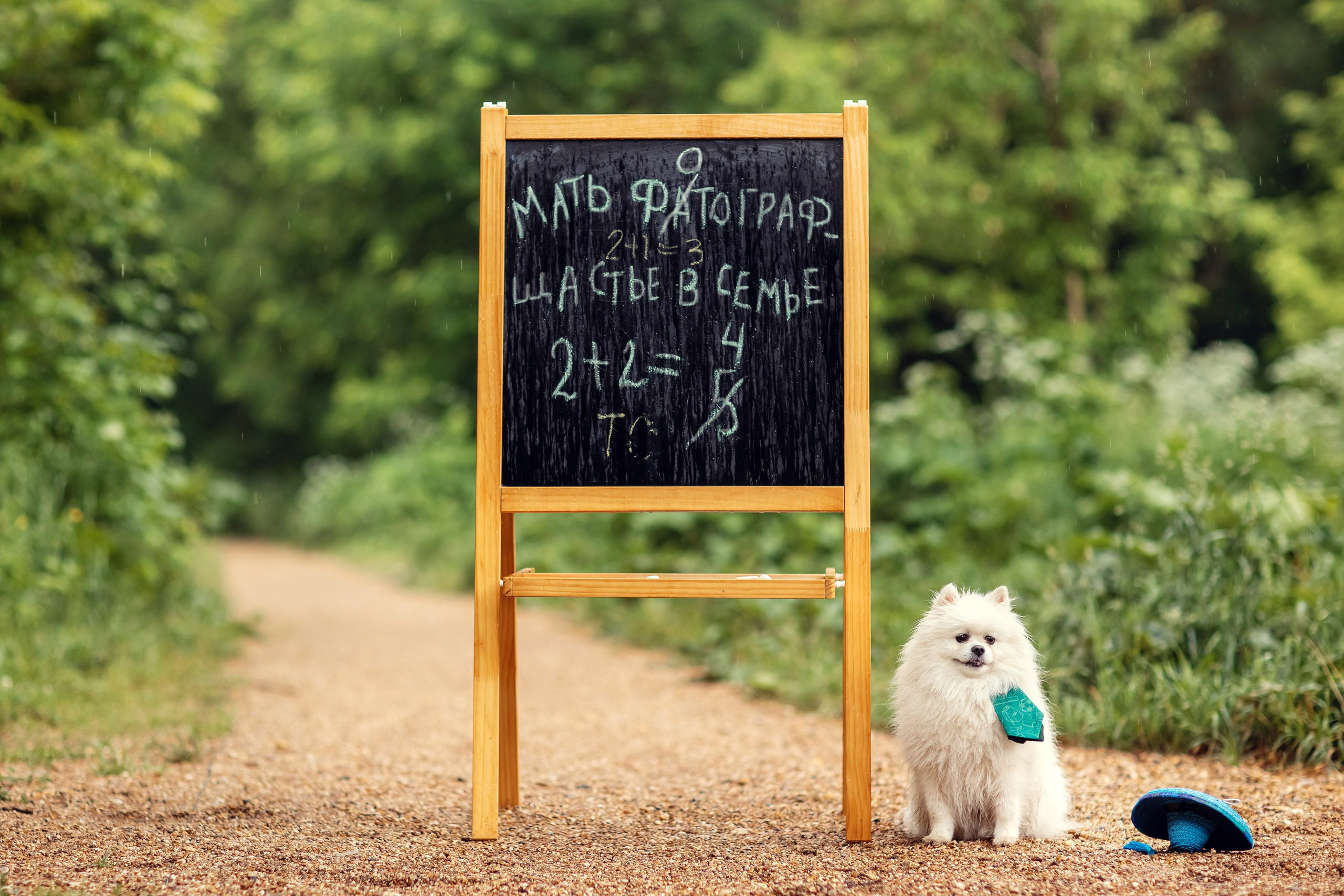 Незнайка и Булька. Детский и семейный фотограф в Москве Анна Ипатьева