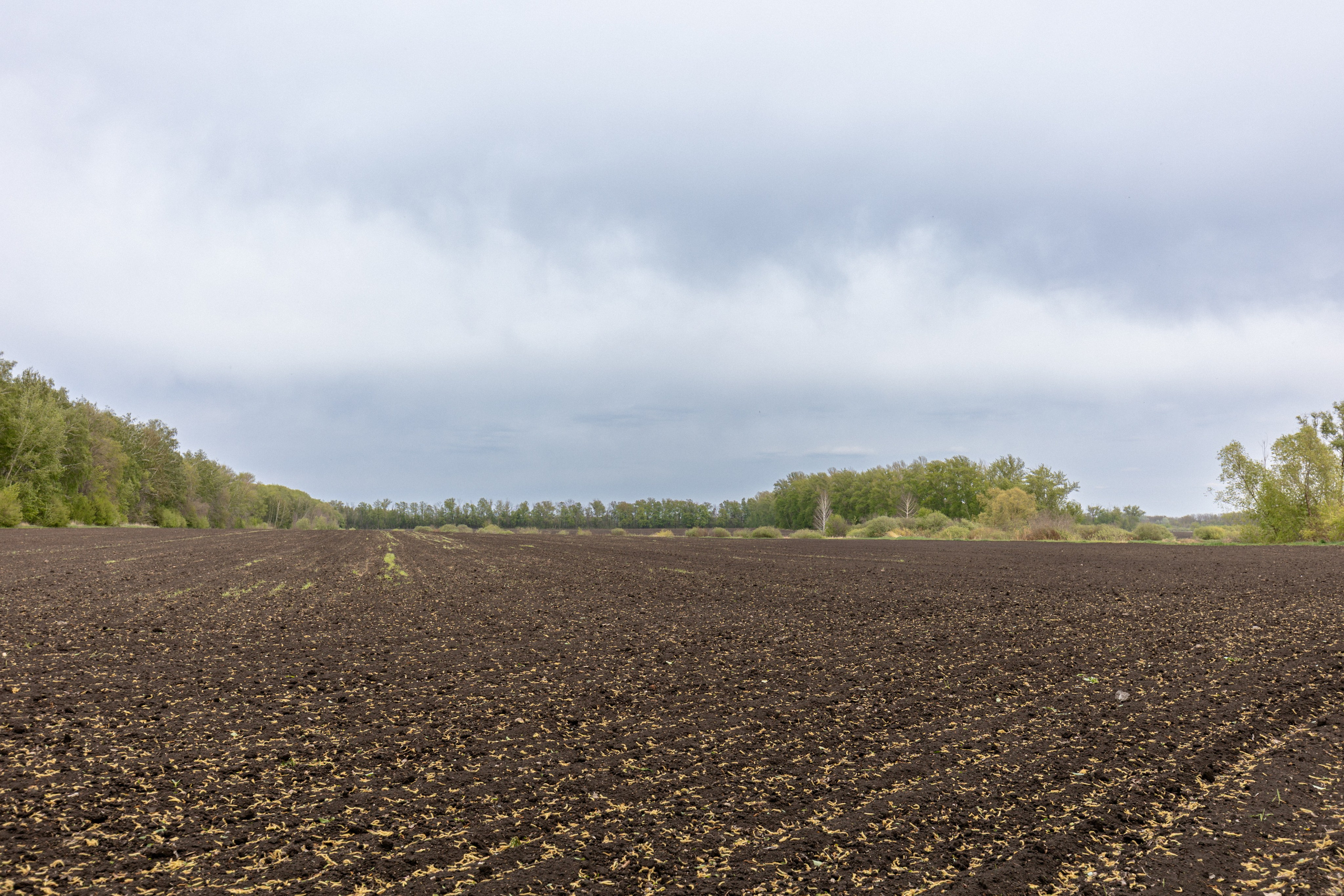 Приусадебный участок. Владислав Волков | Фотография и видеосъемка в Воронеже