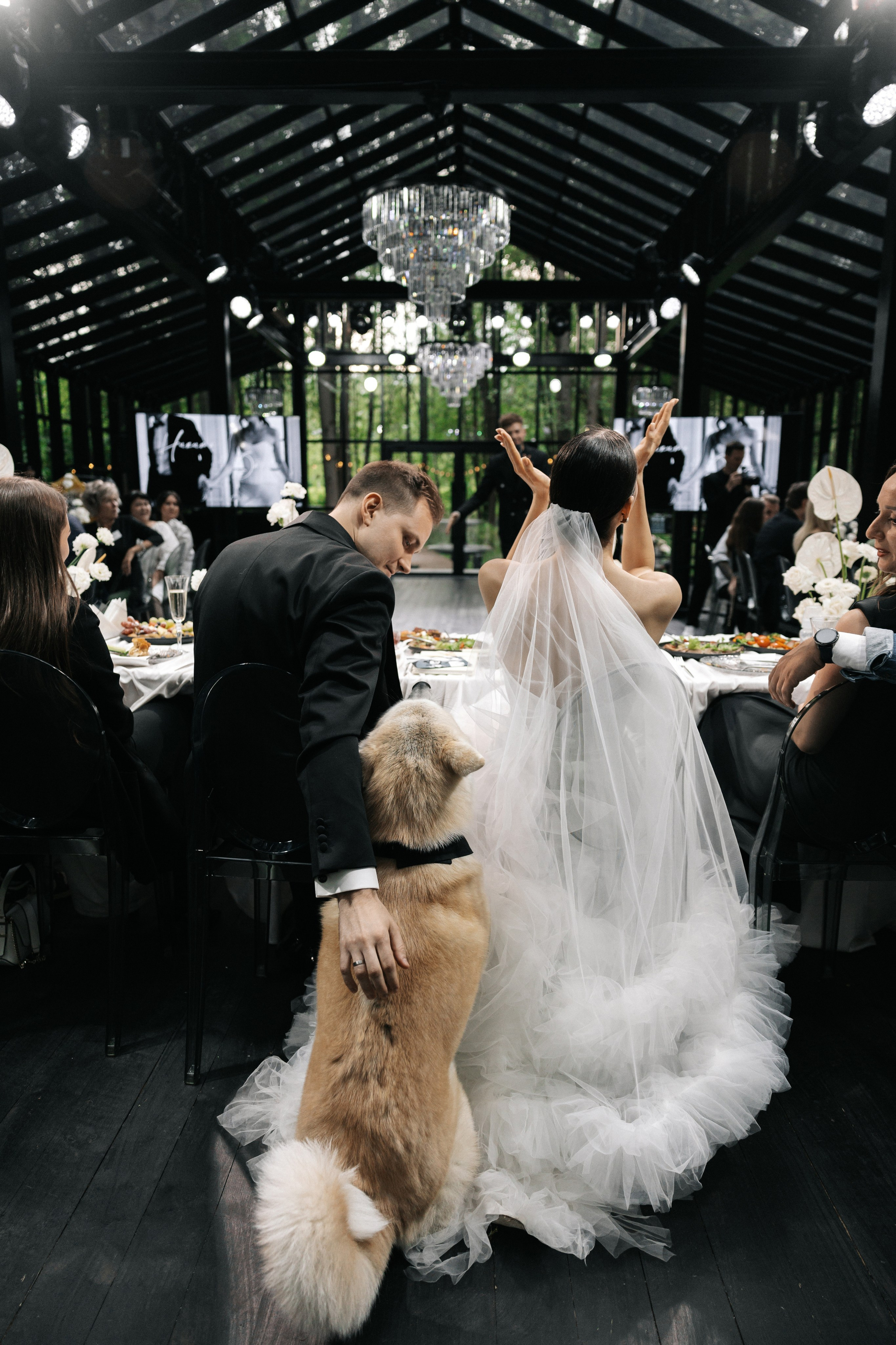 Дарья и Никита. Свадебный фотограф Москва Мотеюнайте Виктория