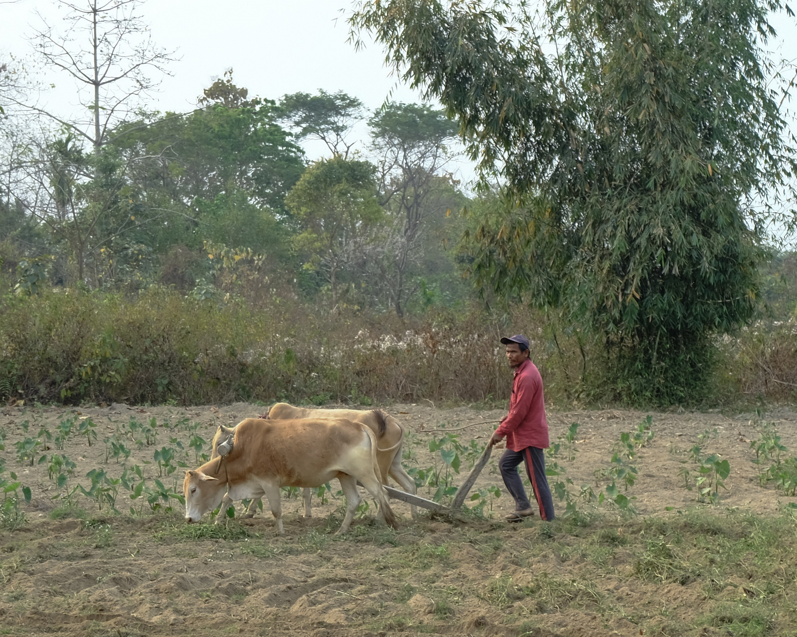 Индия штат Аруначал-Прадеш. Фотографии из путешествий