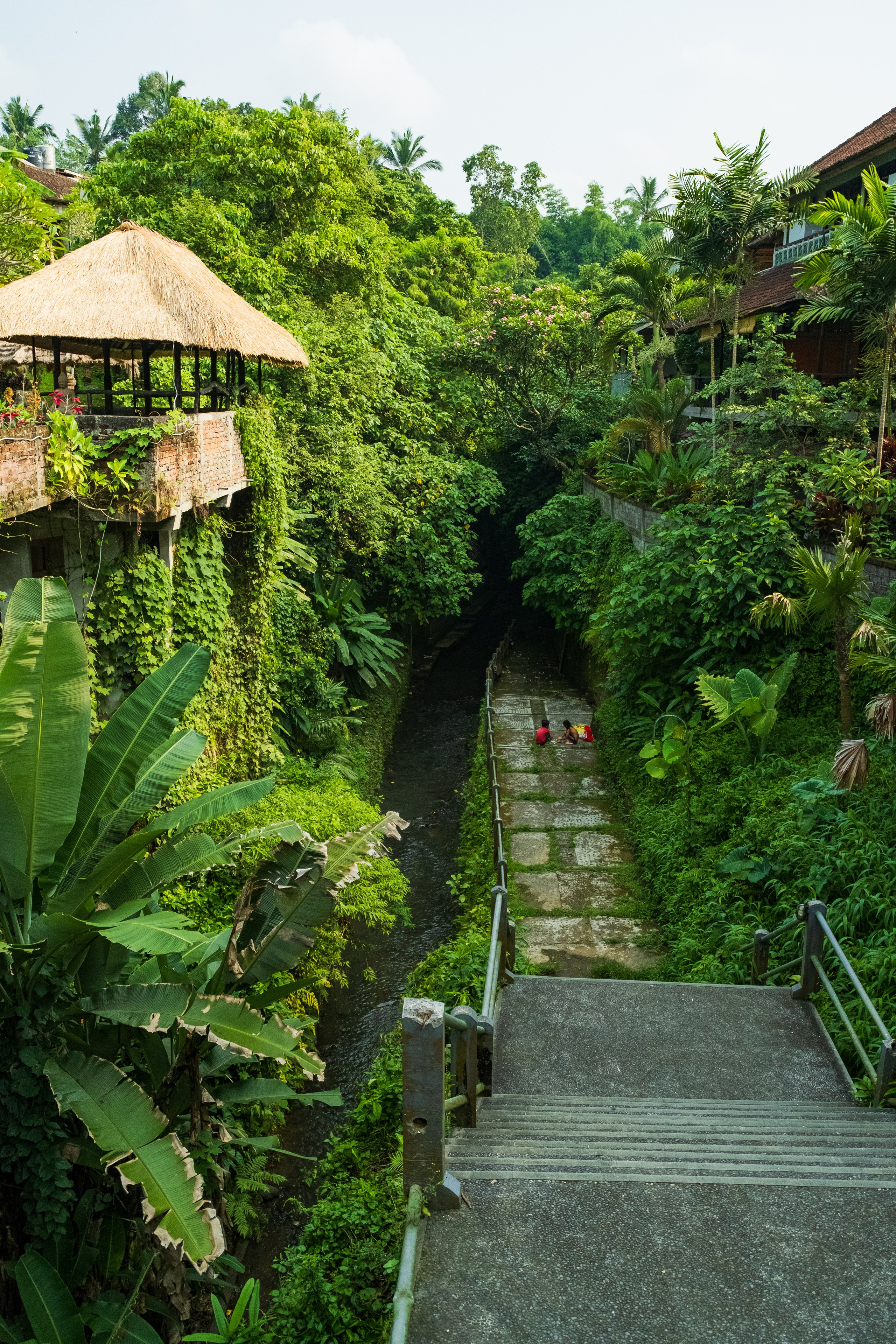 Остров Бали г. Убуд. Фотографии из путешествий