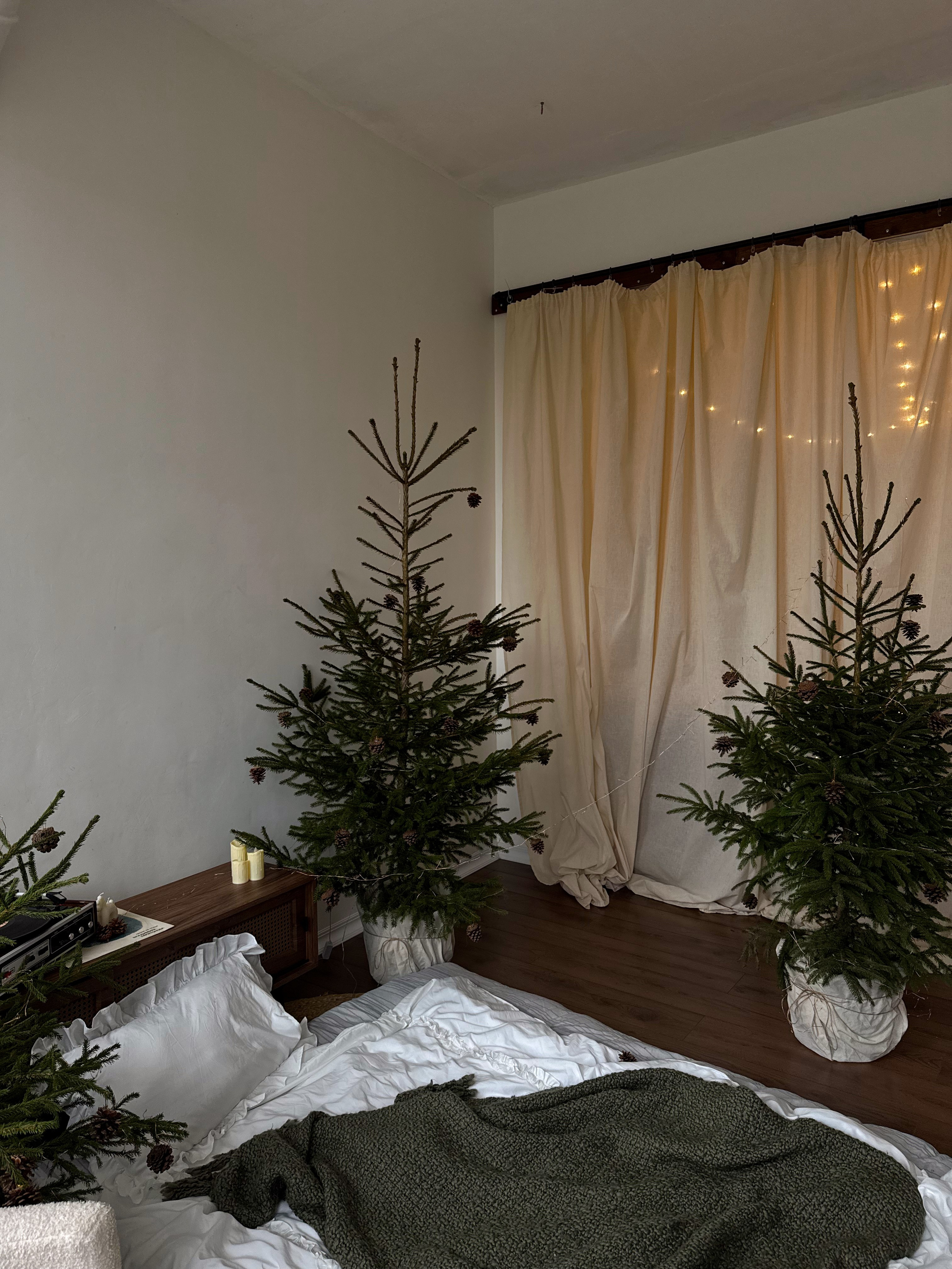 НОВЫЙ ГОД 2026. МАРГАРИТА КУДРЯШОВА СВАДЕБНЫЙ И СЕМЕЙНЫЙ ФОТОГРАФ ТВЕРЬ МОСКВА