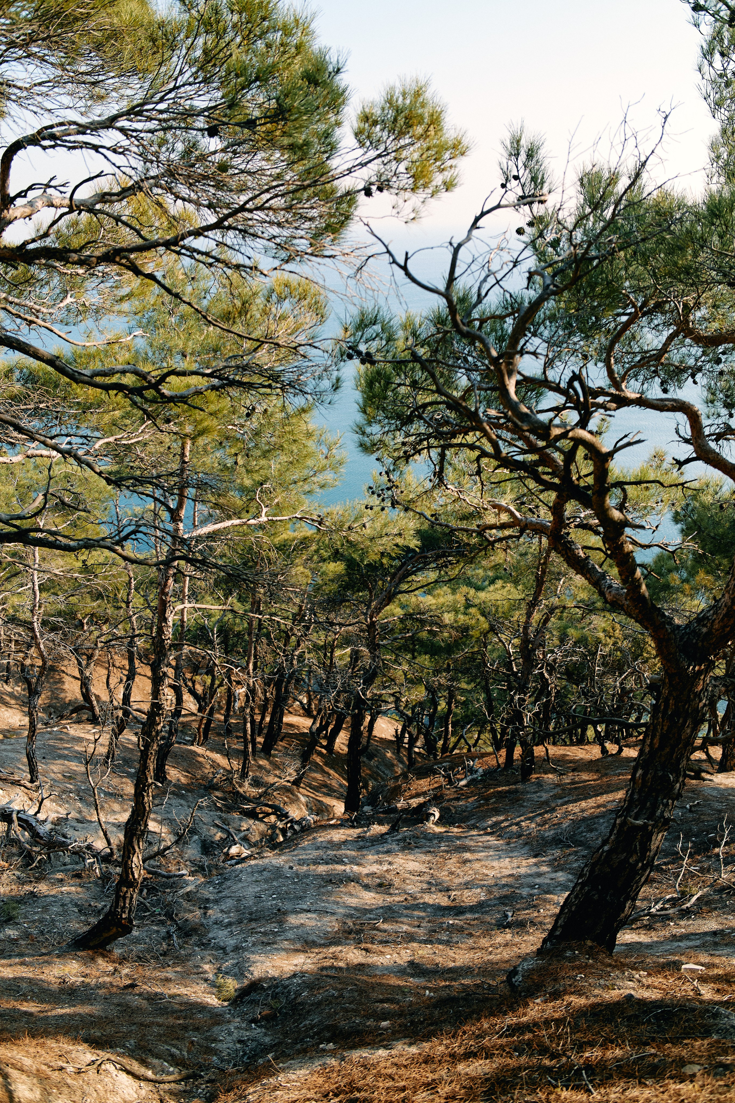 Юг России. Профессиональный Фотограф во Владимире, в Москве и в Суздале — Полина Романычева