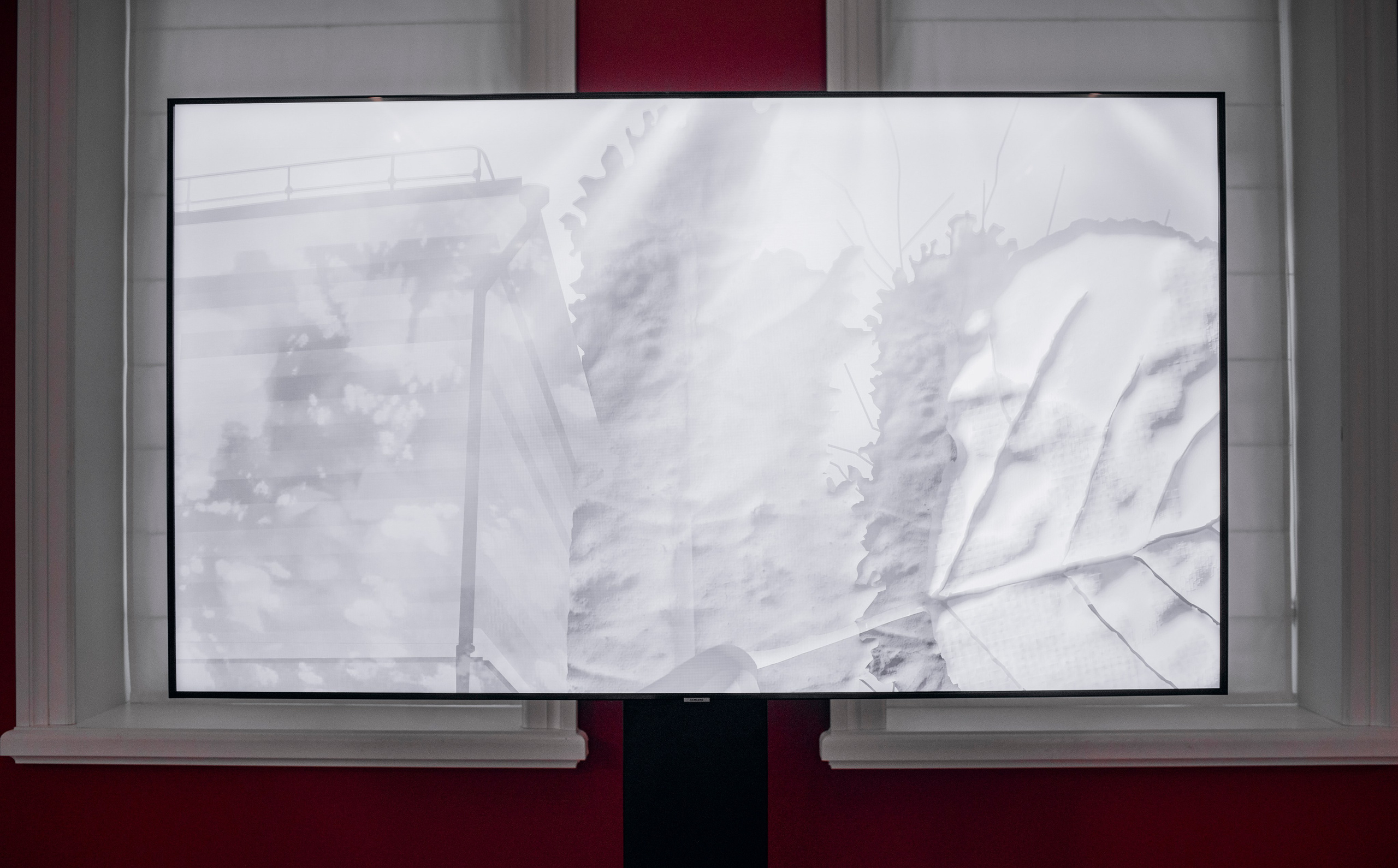 Выставка в доме Третьяковых. Фотограф в Москве Алейникова Евгения