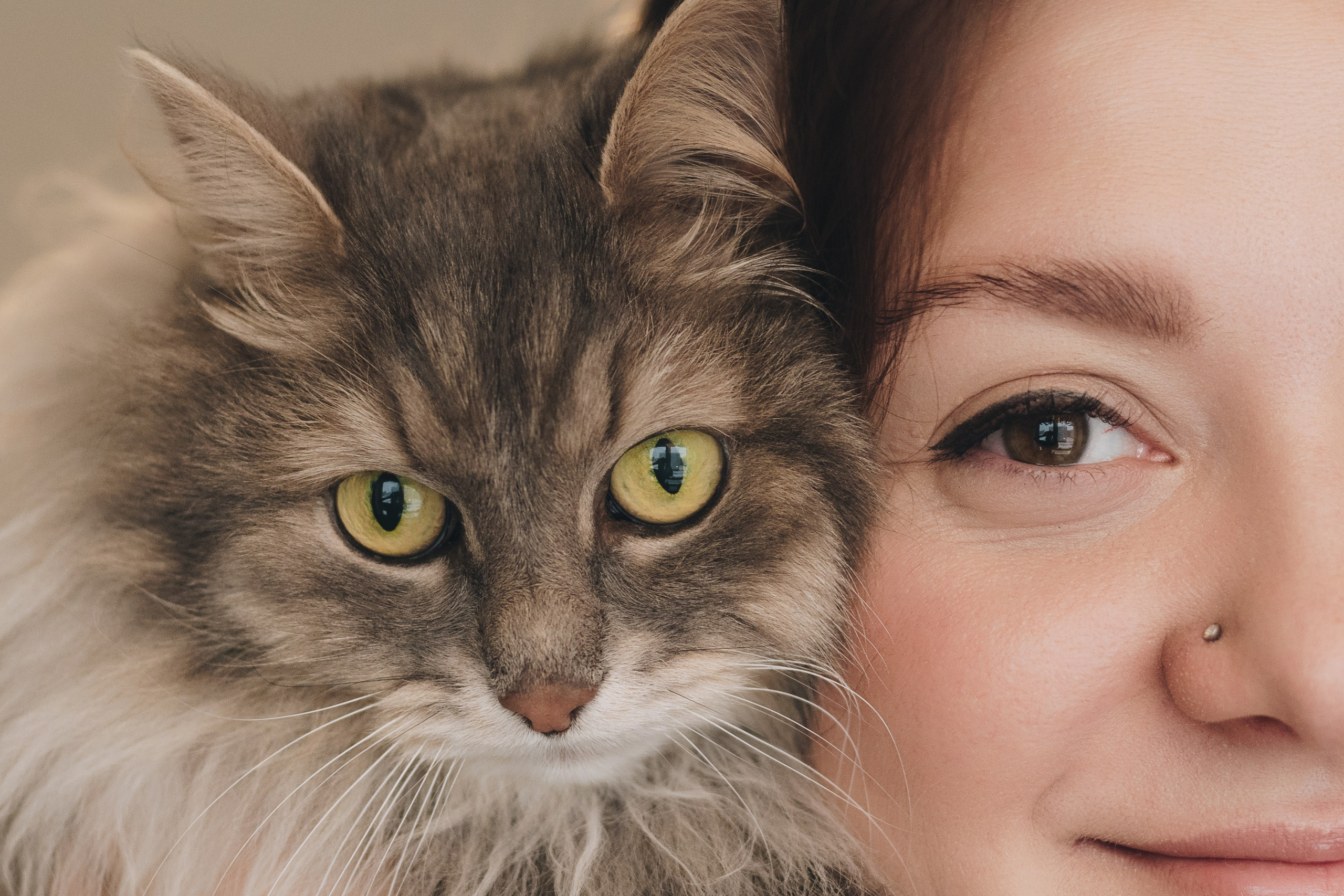 Vika & Kot. Natalia Finch Photography — Family, Kids & Pet Photographer in Chicago, IL