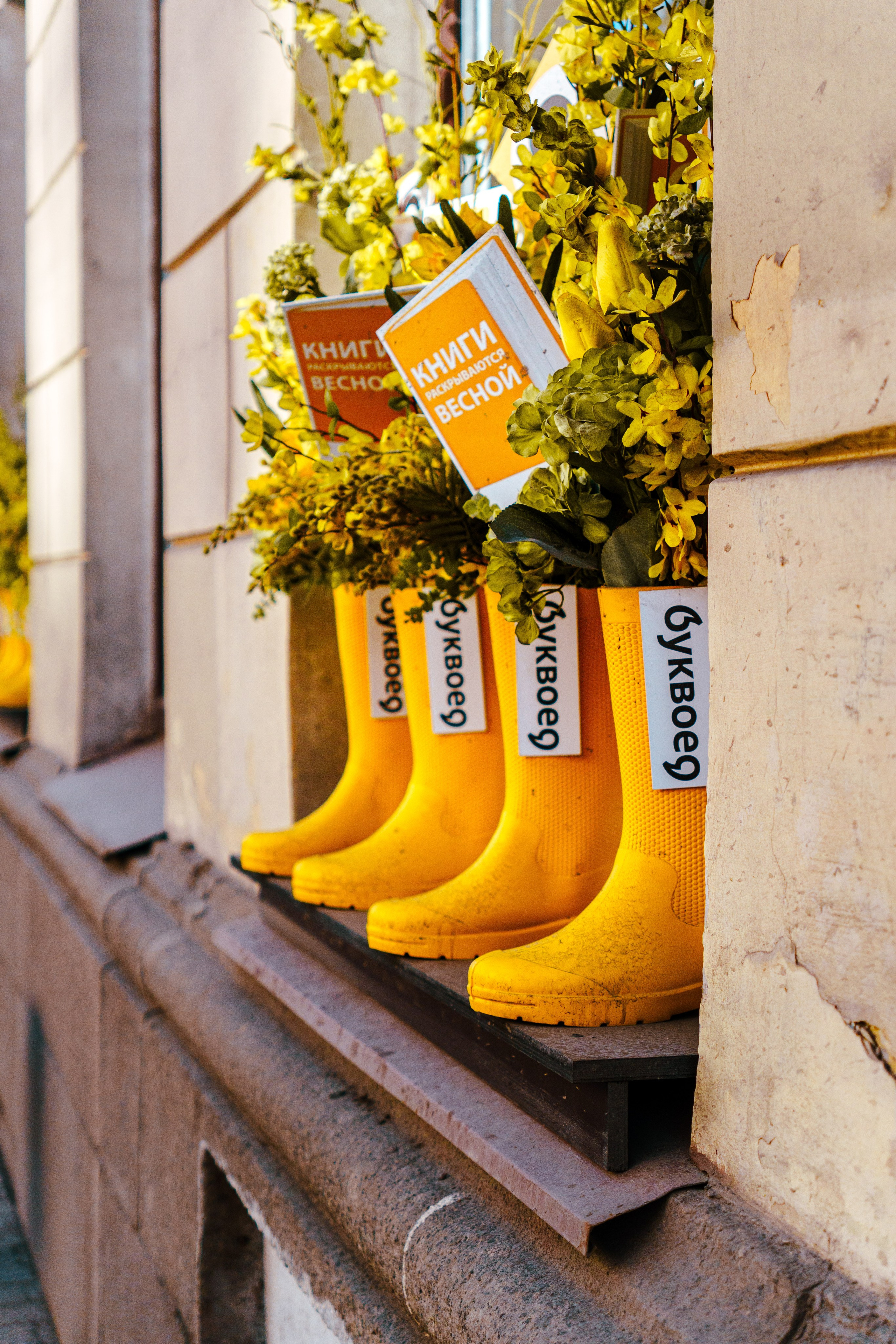 Санкт-Петербург. Фотограф в Санкт-Петербурге Ибрагимова Алина