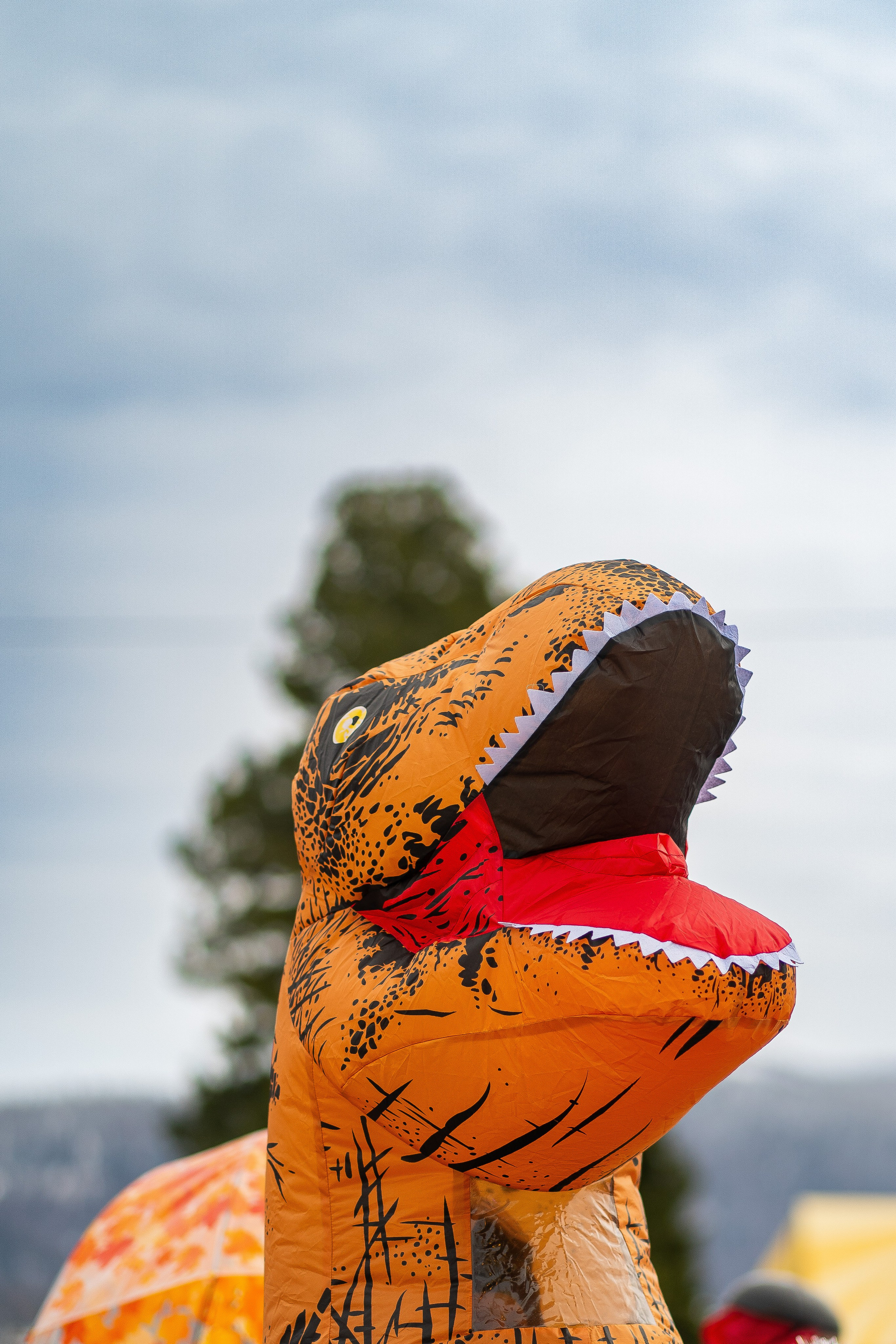 Грелка 13.04.24. Анастасия Паршукова — фотограф Шерегеш Новосибирск