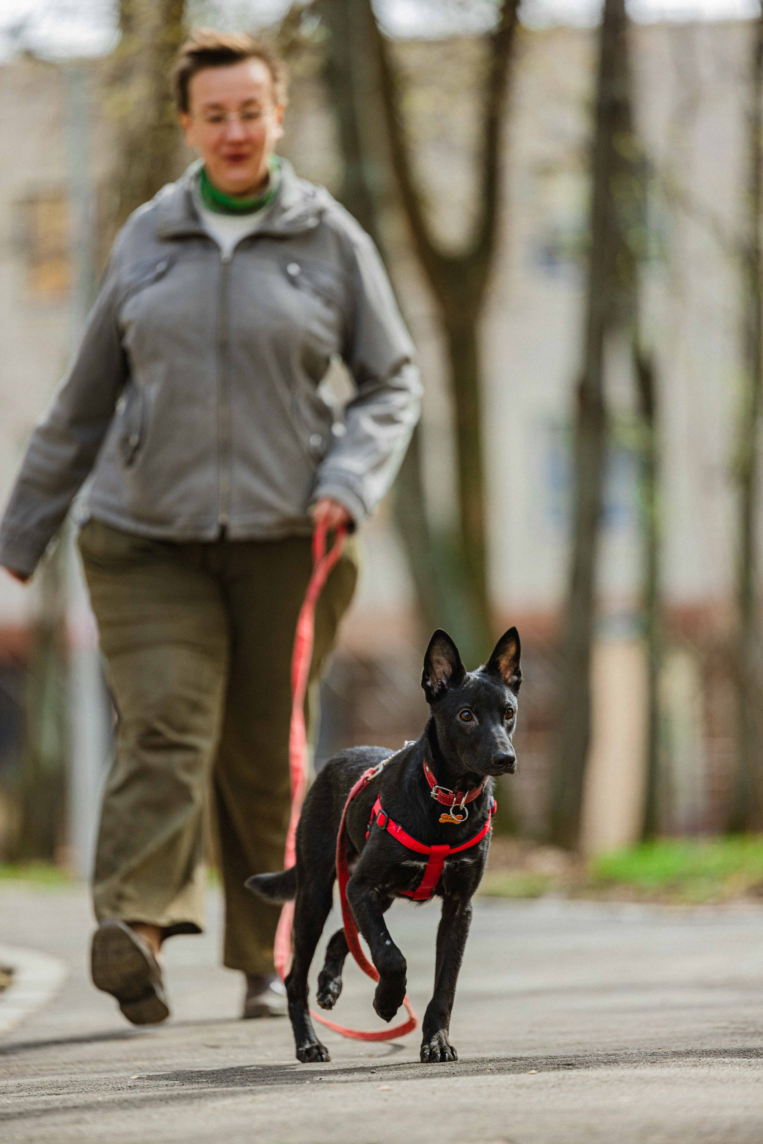 Булька. Фотограф-анималист в Москве Лера Черноног