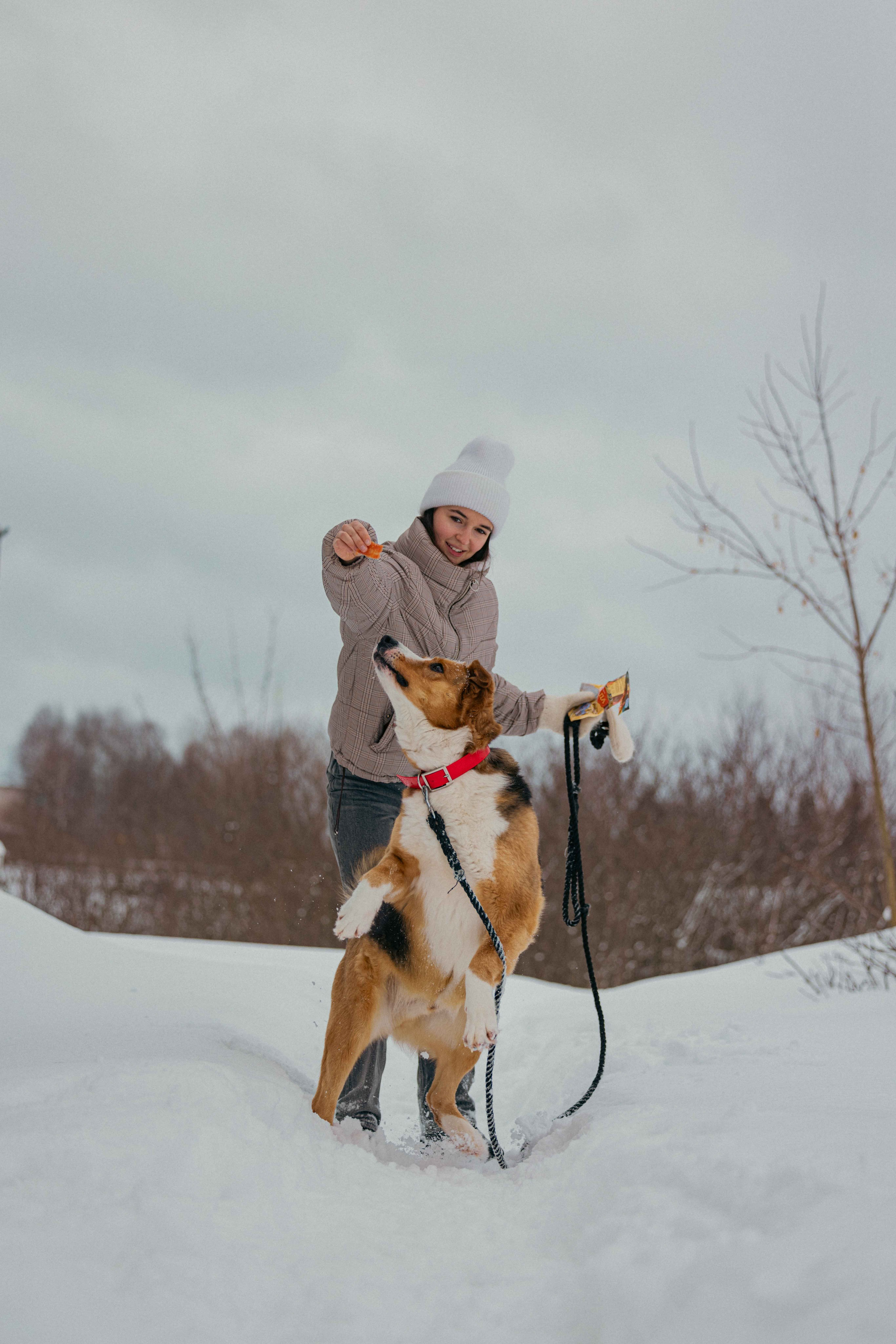 Петя. Фотограф-анималист в Москве Лера Черноног