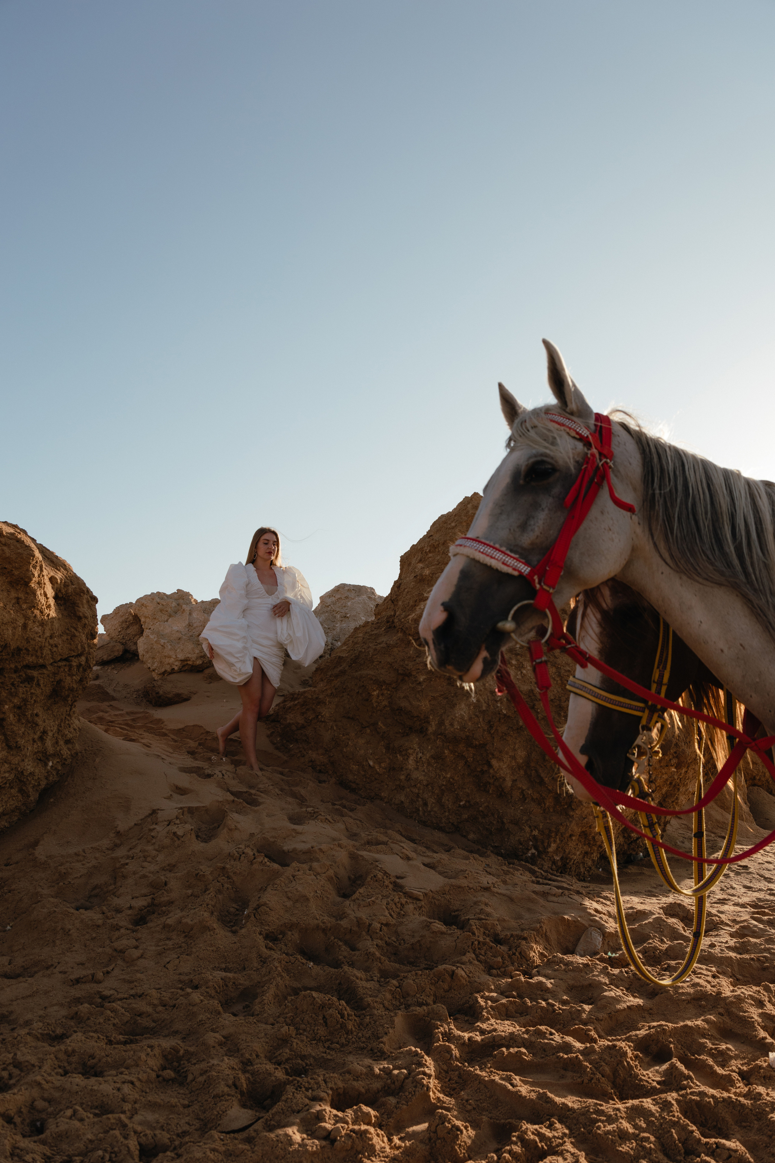 Баха и Лена. Photographer Egypt Photographer Hurgada