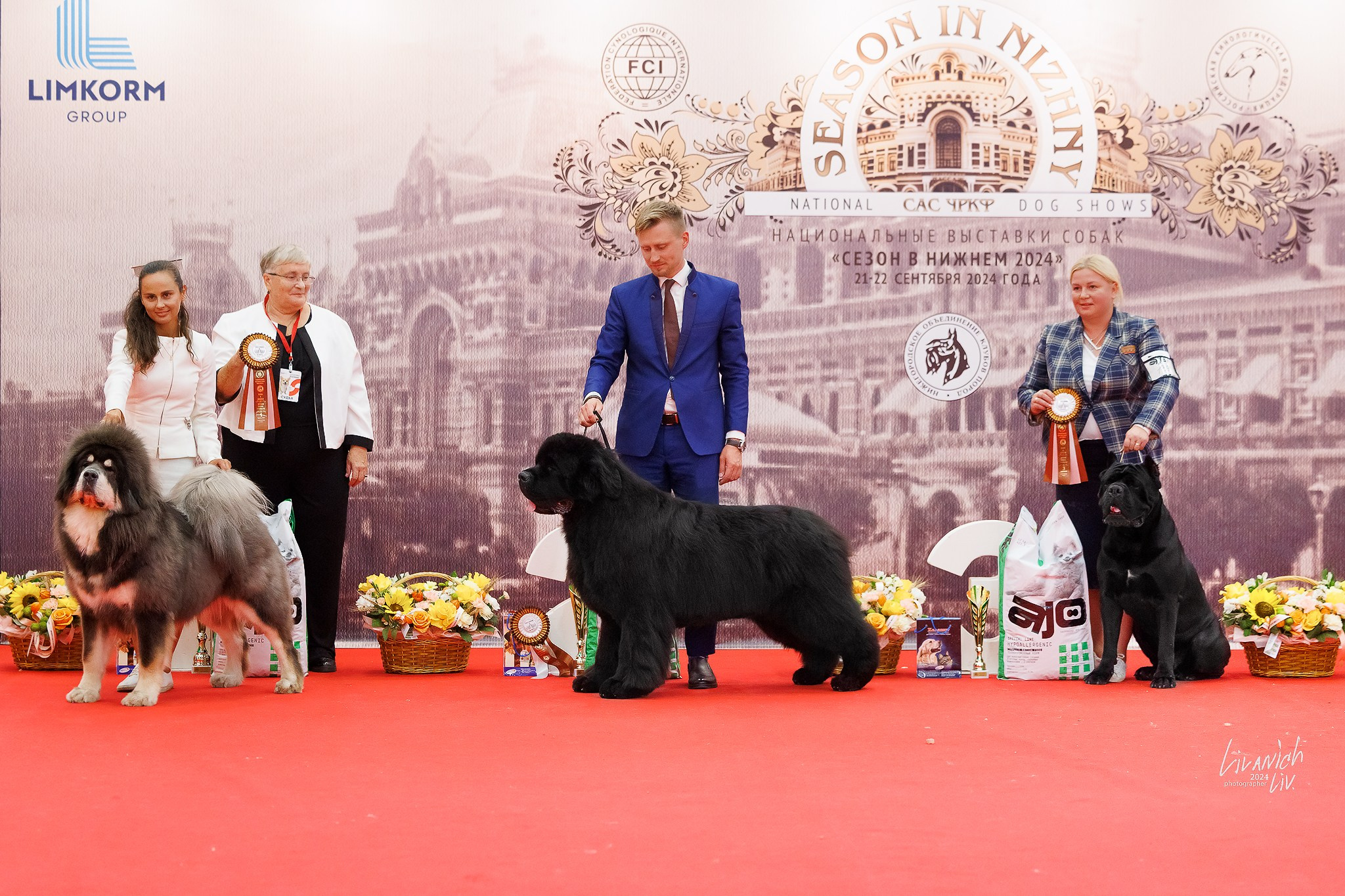 Выставки. Фотограф для вашей собаки