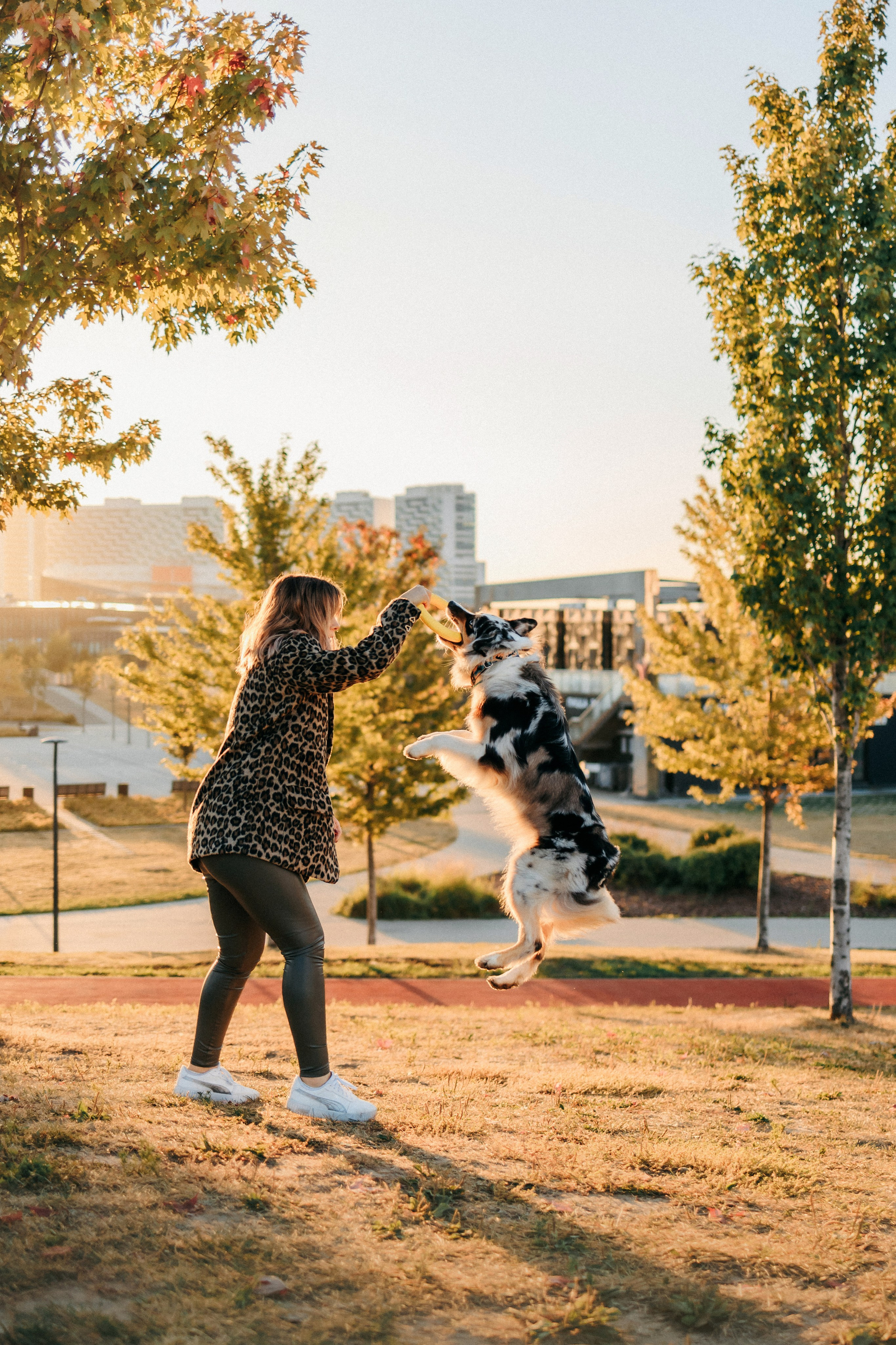 Аня, Чарли и Ева. Фотограф-анималист Елена Радченко, Москва