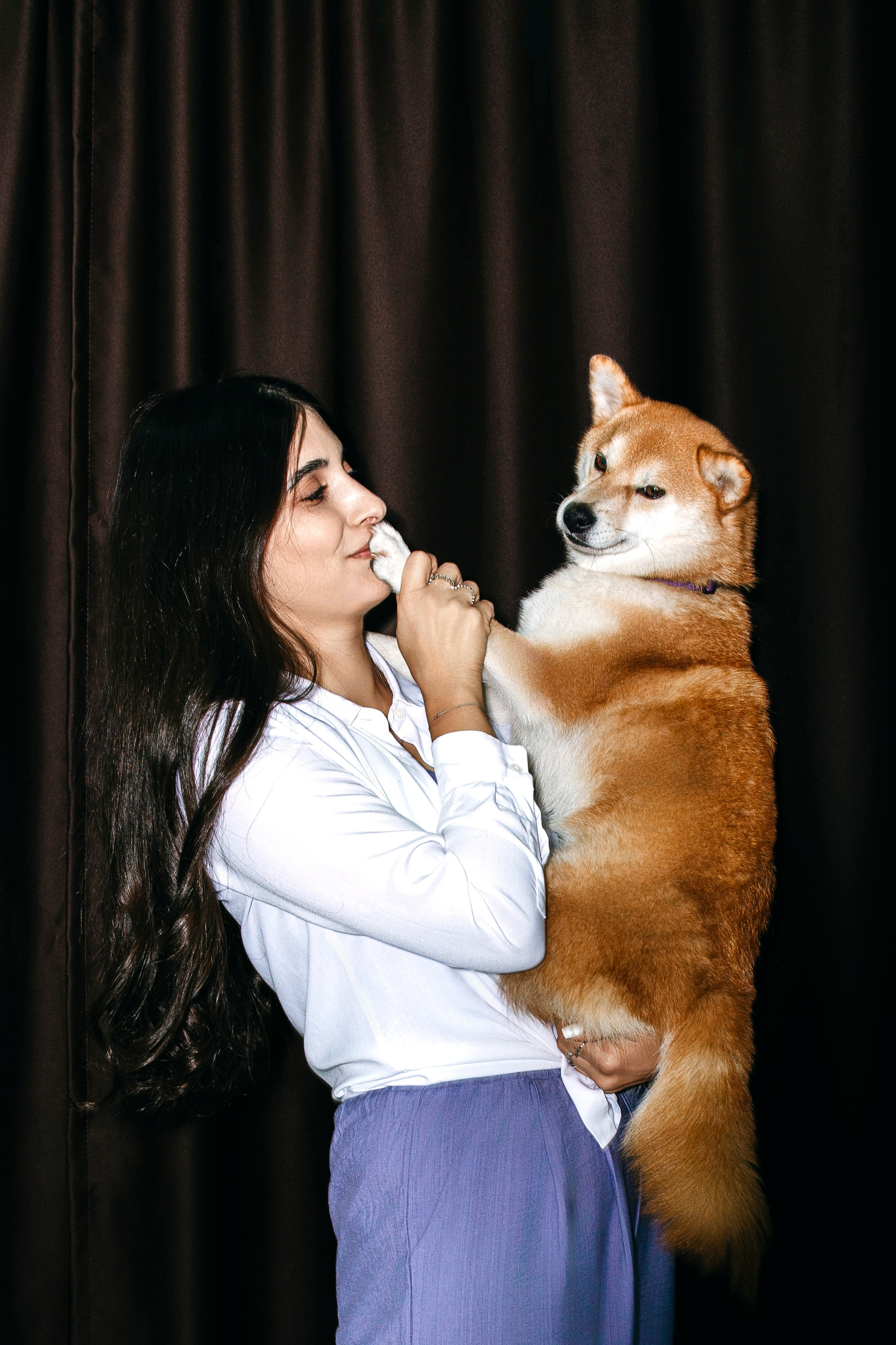 Съемка в студии с собакой. Анастасия Белаш