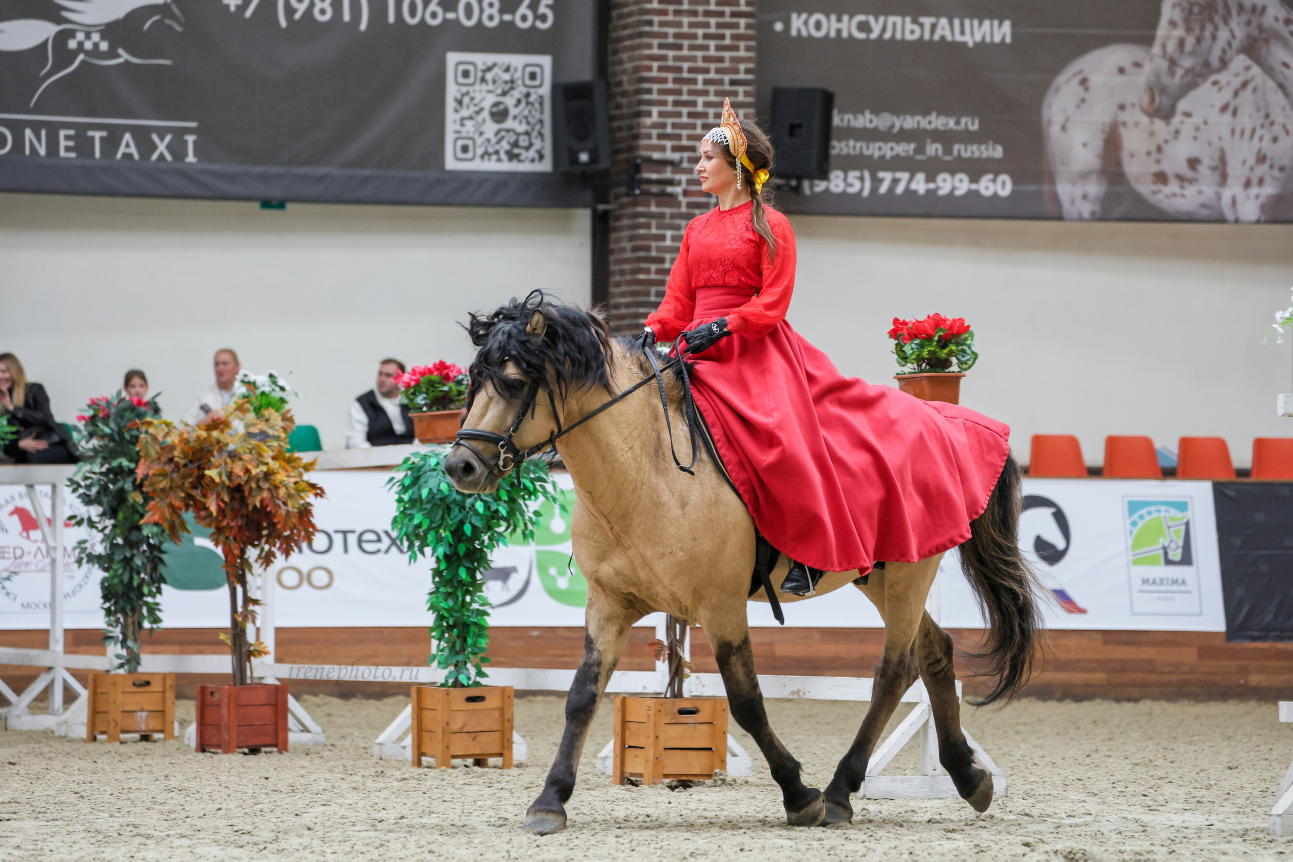 Конная Россия 2024. Irenephoto.ru